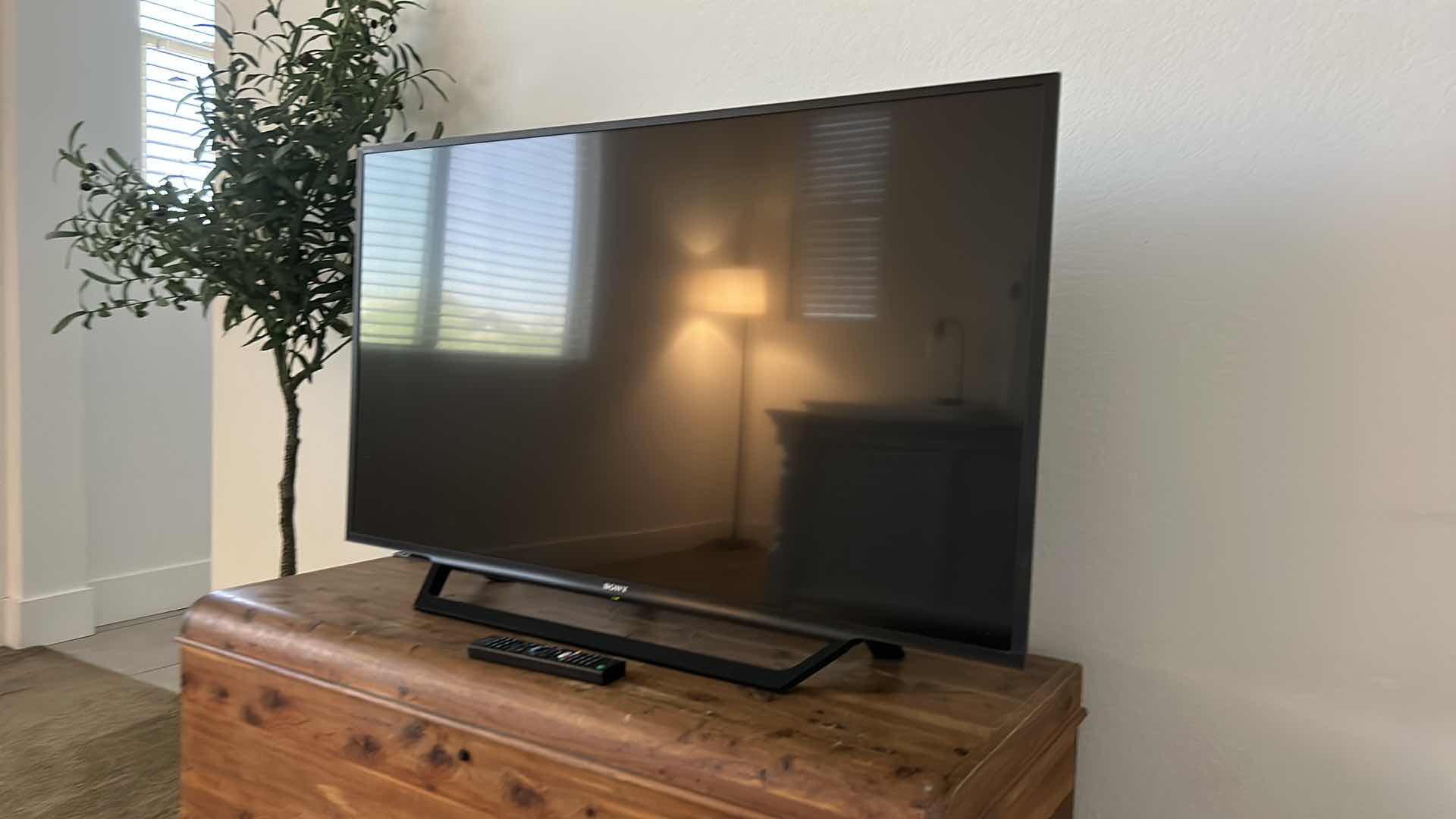 Photo 1 of 48” SONY BRAVIA TV WITH REMOTE