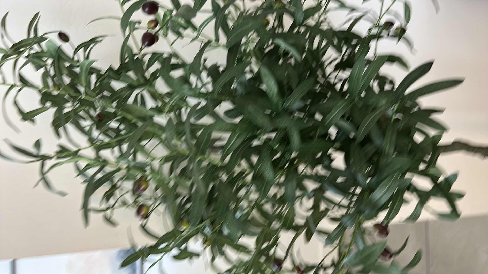 Photo 1 of 5’ FAUX OLIVE TREE IN WOVEN BASKET