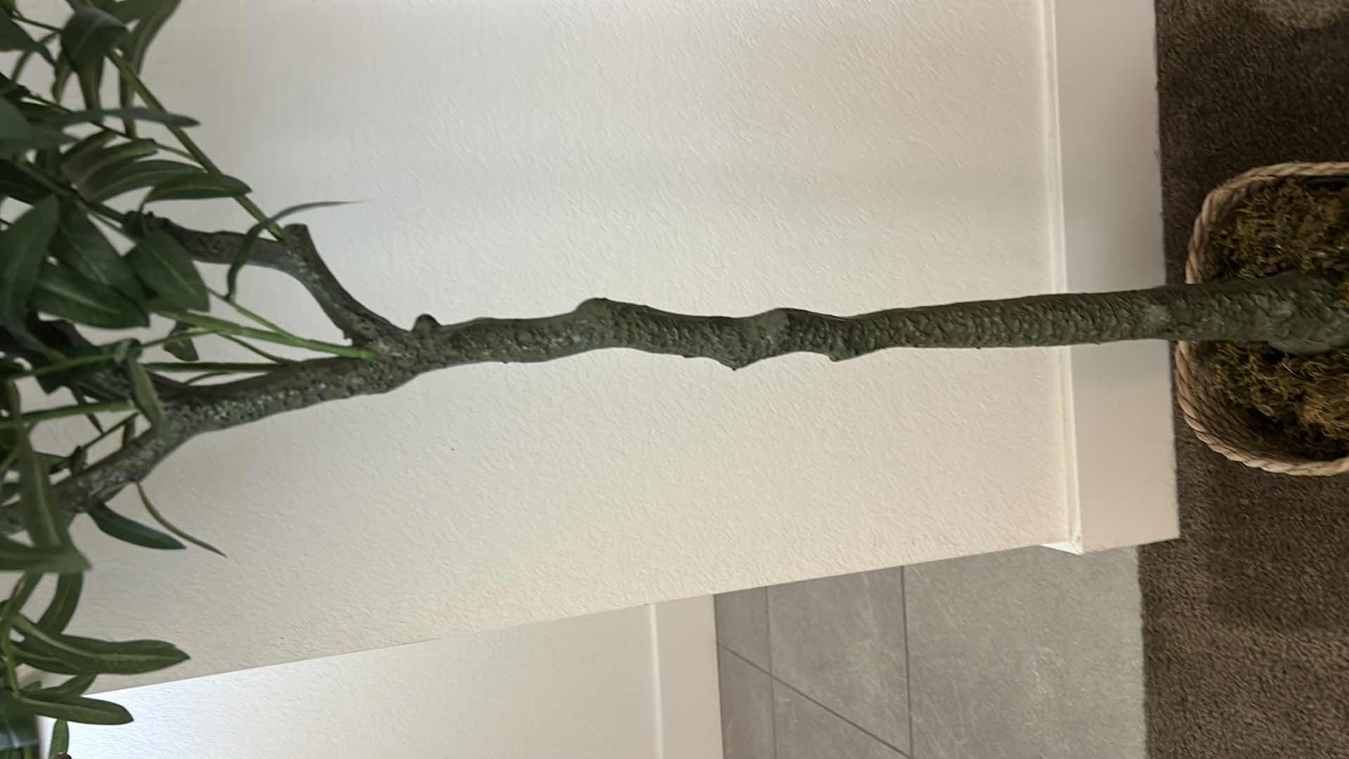 Photo 1 of 5’ FAUX OLIVE TREE IN WOVEN BASKET