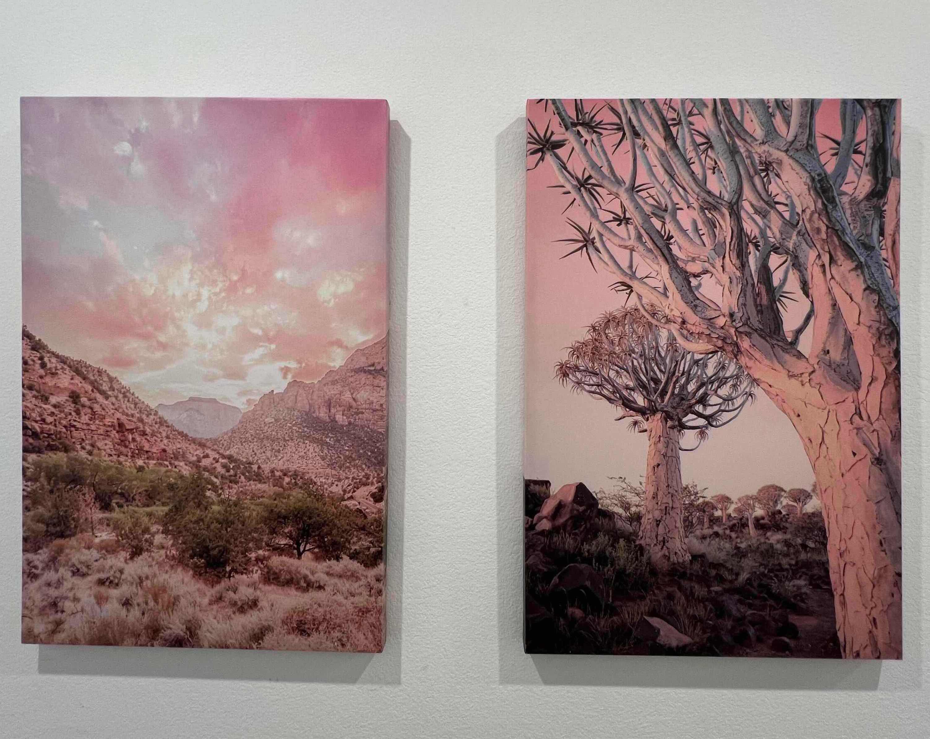 Photo 1 of STRETCHED CANVAS DESERT LANDSCAPE PHOTOGRAPH SET OF 2.