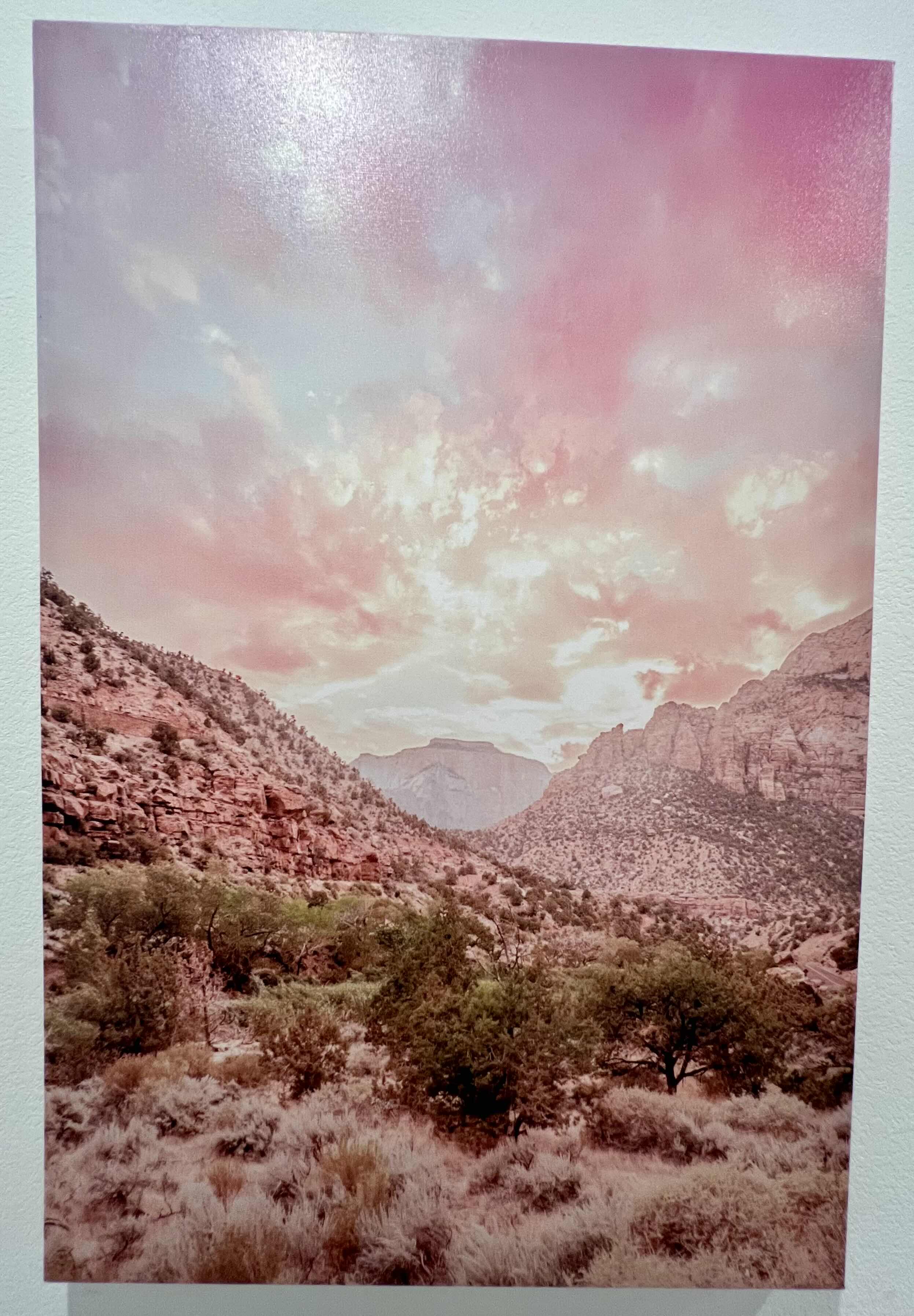 Photo 1 of STRETCHED CANVAS DESERT LANDSCAPE PHOTOGRAPH SET OF 2.