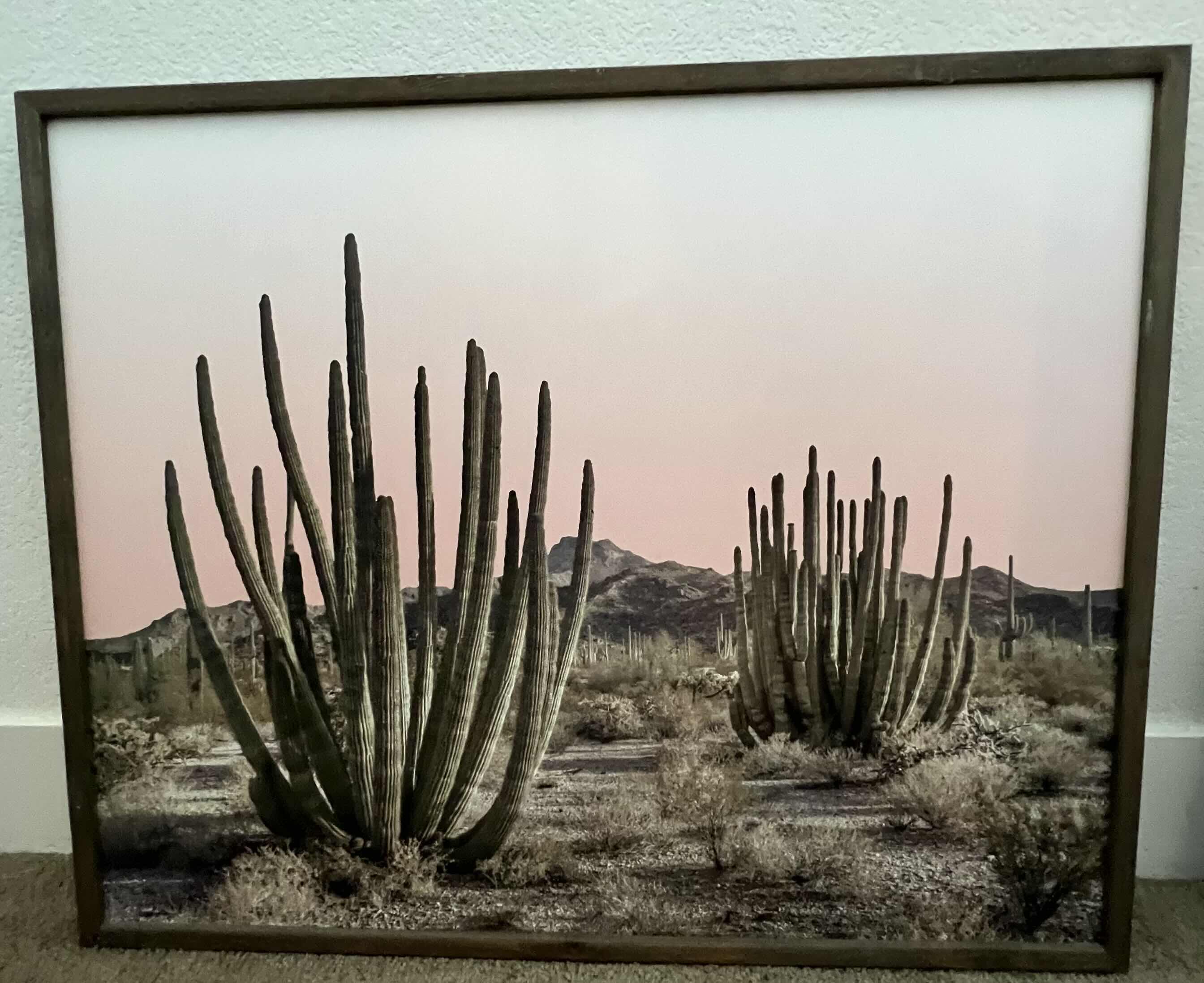 Photo 1 of FRAMED DESERT LANDSCAPE PHOTOGRAPHS. SOLD AS A SET OF 2. 24“ x 30“.