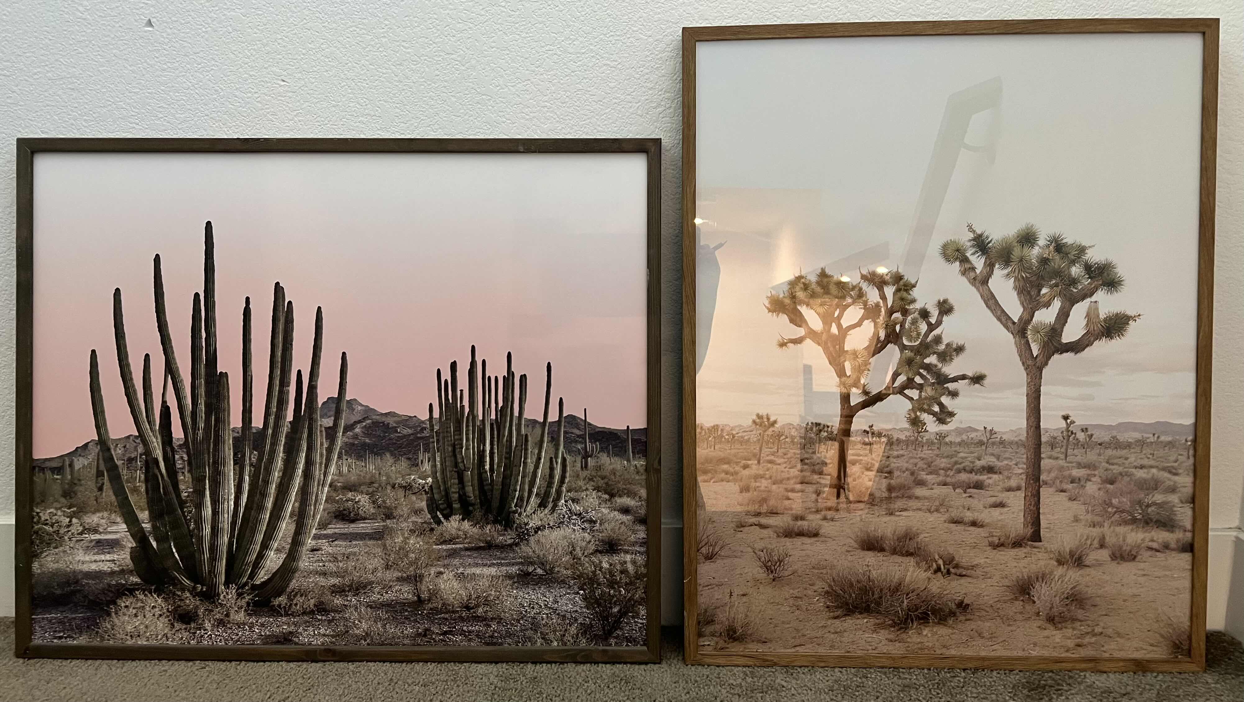 Photo 1 of FRAMED DESERT LANDSCAPE PHOTOGRAPHS. SOLD AS A SET OF 2. 24“ x 30“.