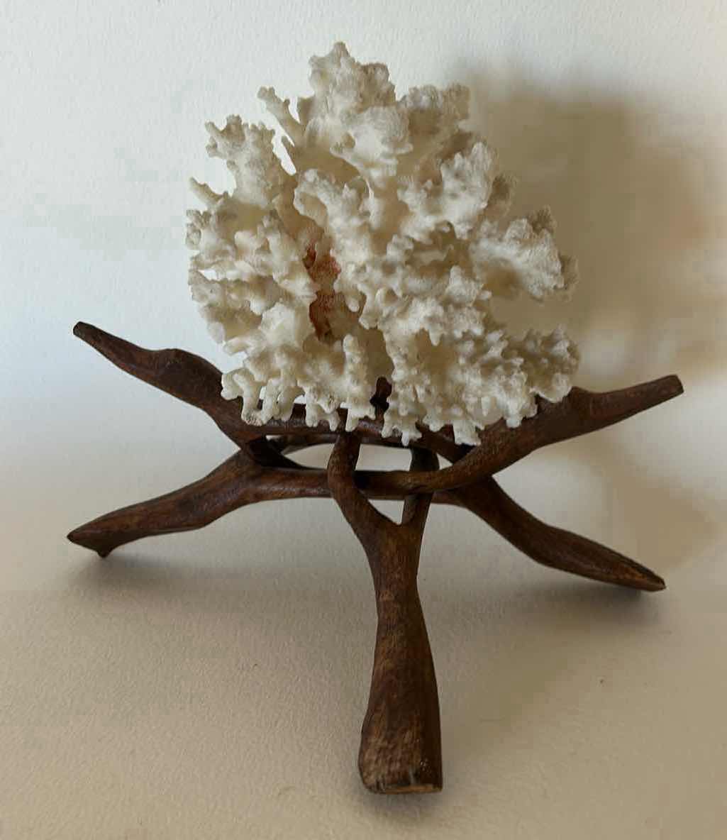 Photo 1 of CORAL WITH WOOD STAND H6.5”