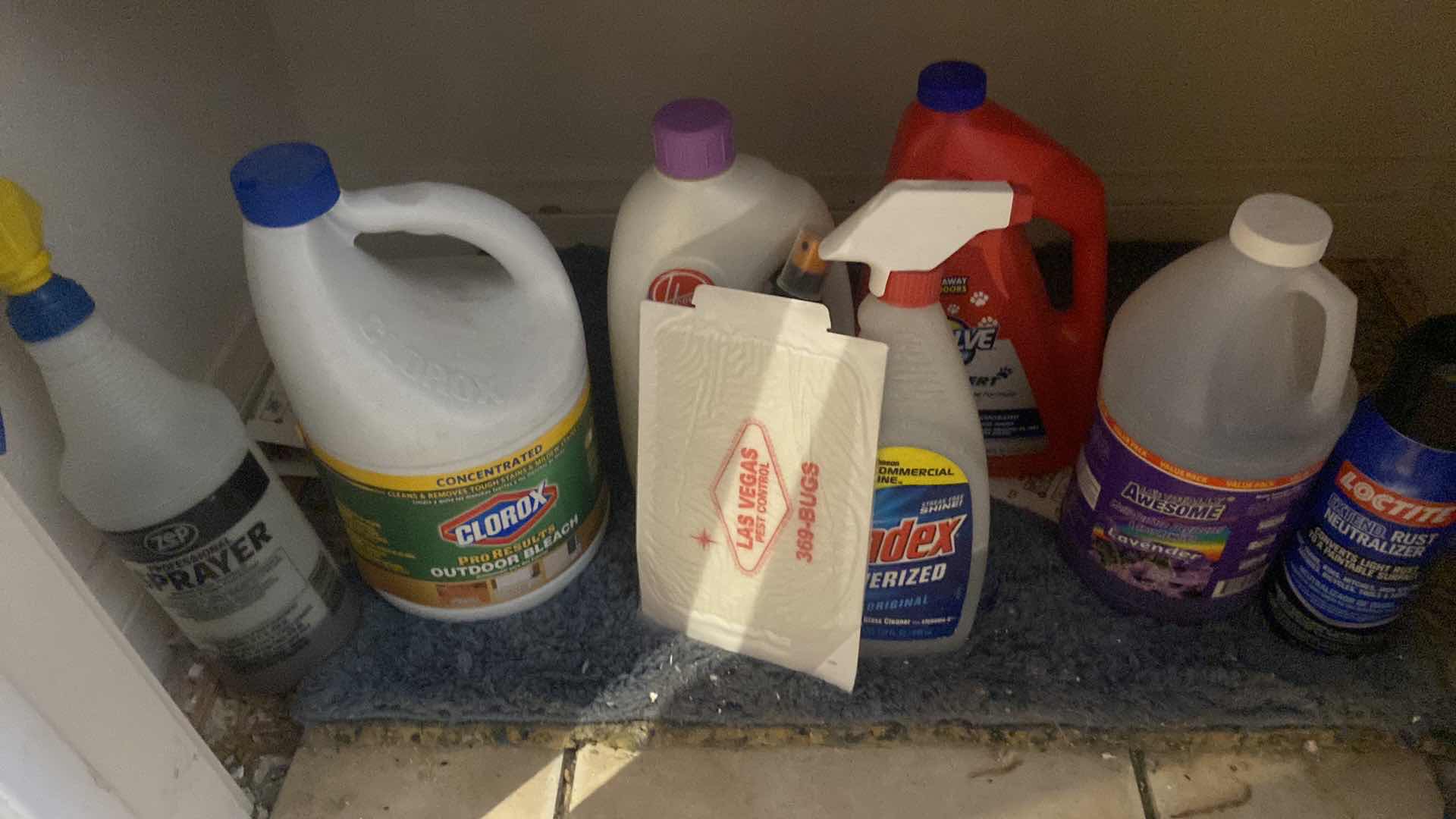 Photo 5 of 4 SHELFS HALL CLOSET - CLEANING SUPPLIES