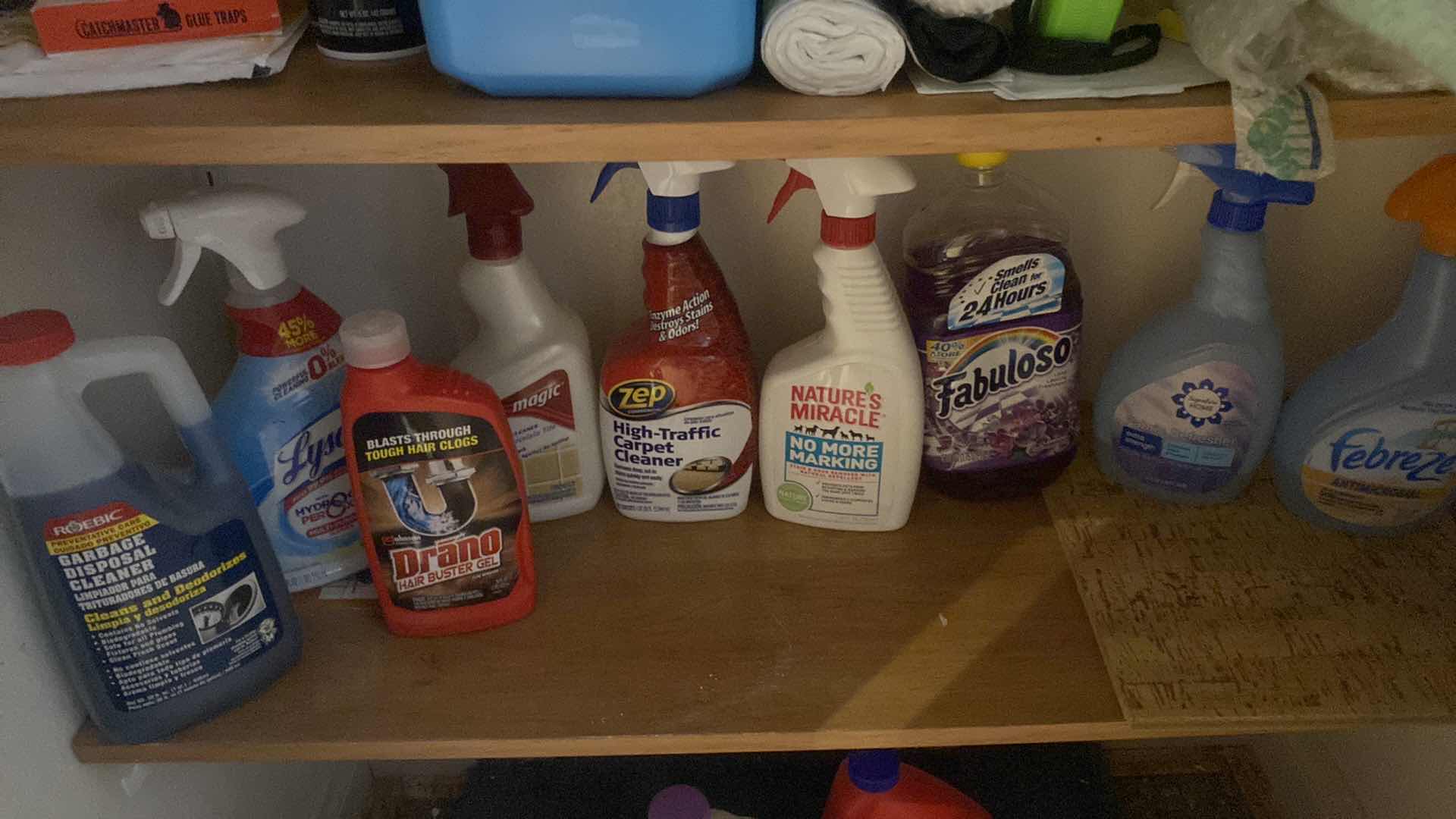 Photo 4 of 4 SHELFS HALL CLOSET - CLEANING SUPPLIES