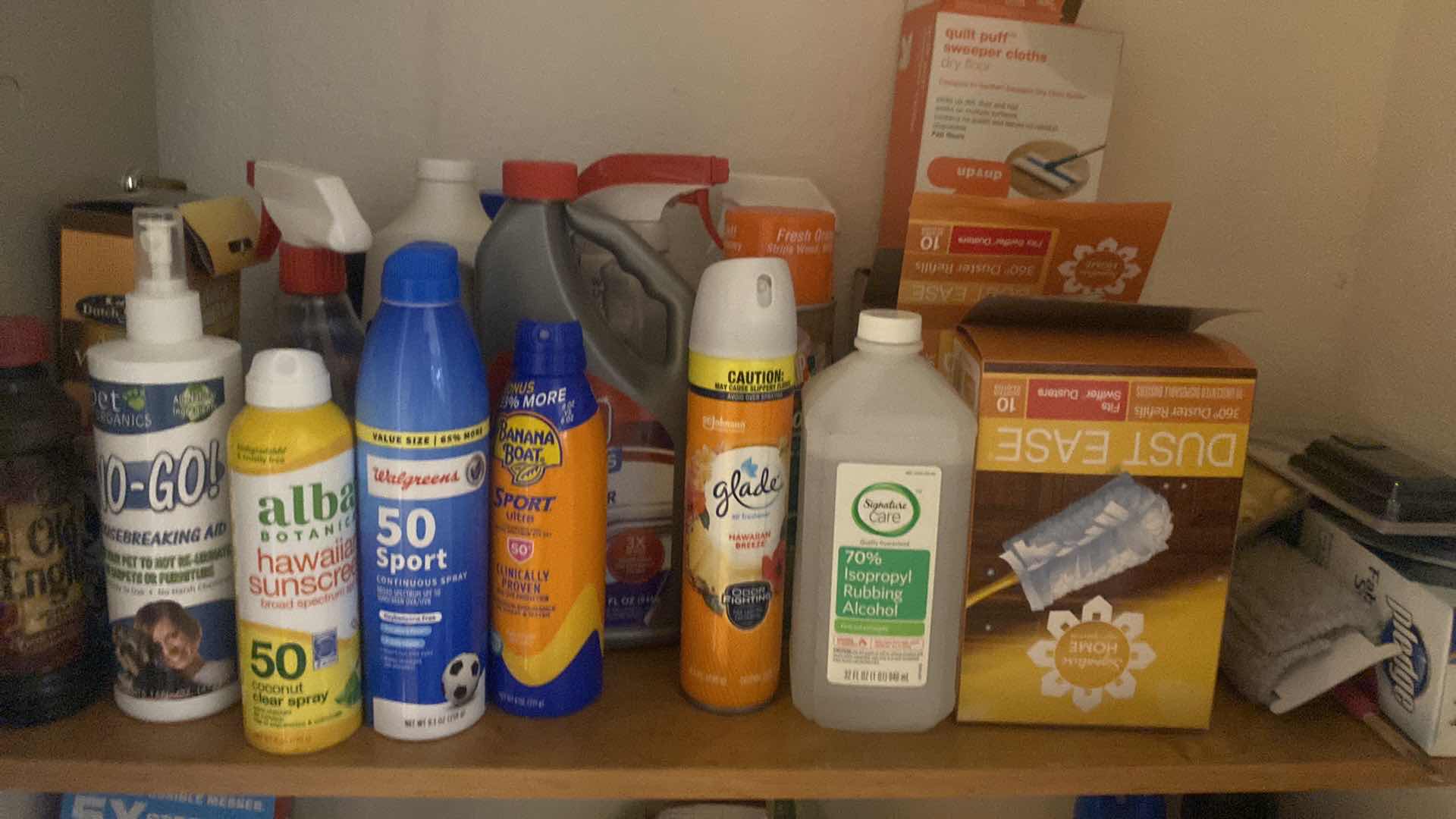 Photo 2 of 4 SHELFS HALL CLOSET - CLEANING SUPPLIES