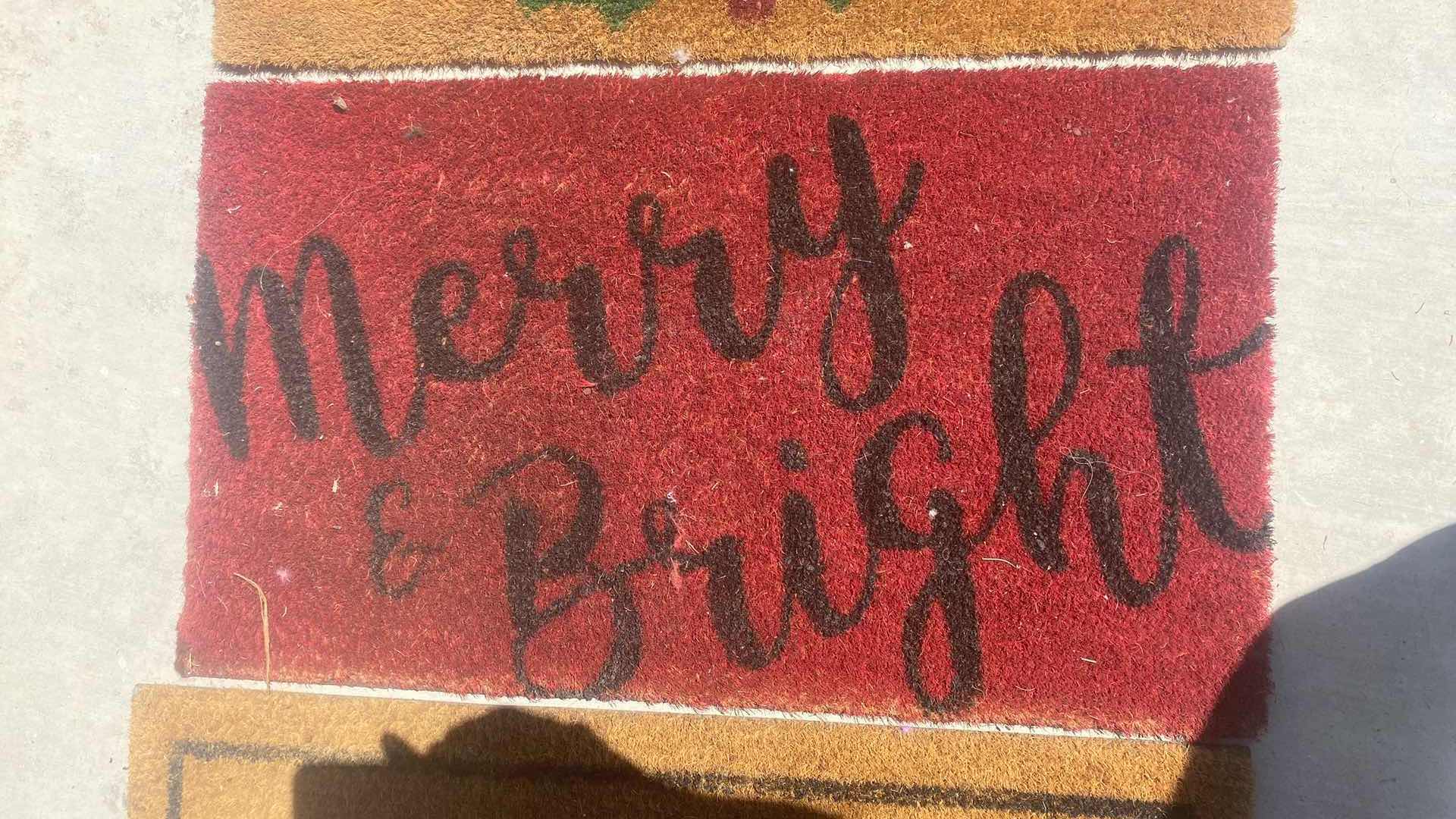 Photo 1 of 4 DOORMATS 30” x 18”