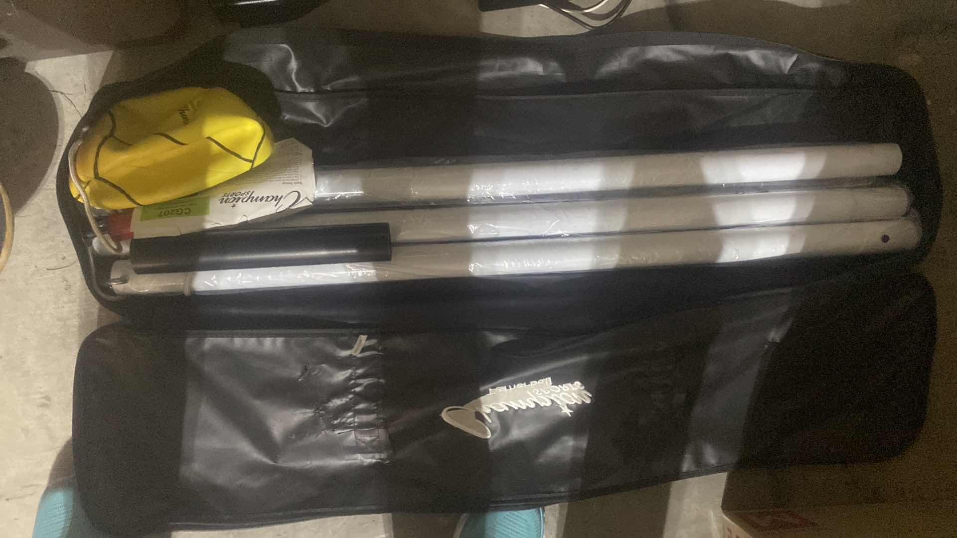 Photo 1 of CHAMPION SPORTS TETHERBALL IN BAG