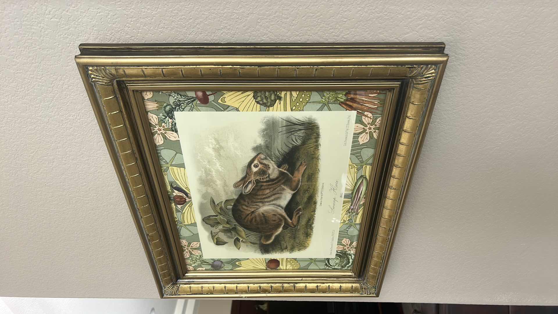 Photo 1 of GOLD FRAMED “SWAMP HARE” PRINTED LITHOGRAPH 25” x H21”