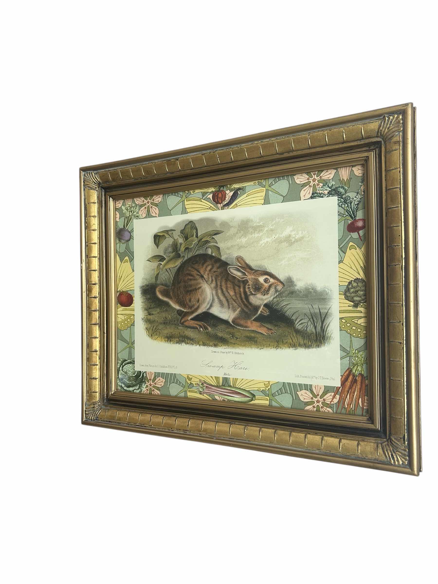 Photo 1 of GOLD FRAMED “SWAMP HARE” PRINTED LITHOGRAPH 25” x H21”