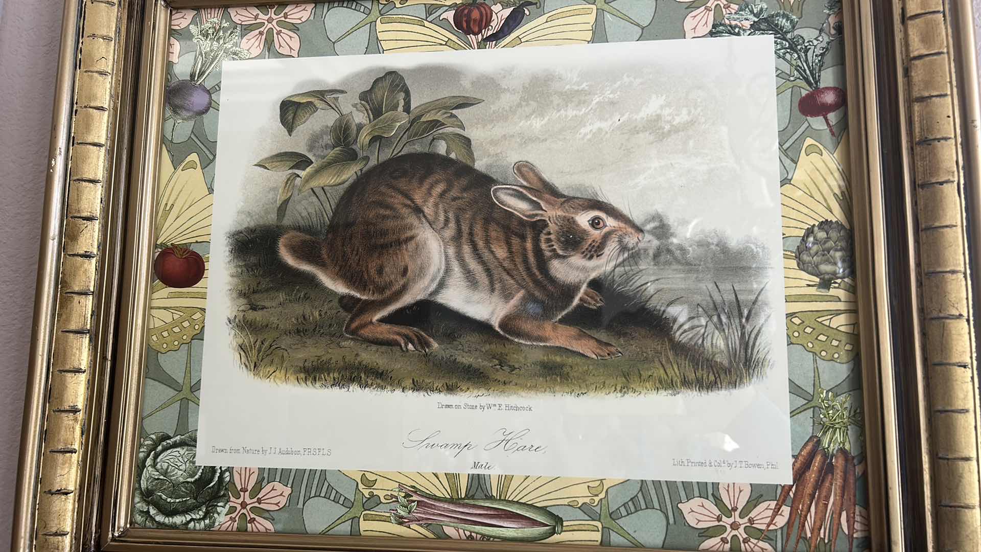 Photo 1 of GOLD FRAMED “SWAMP HARE” PRINTED LITHOGRAPH 25” x H21”
