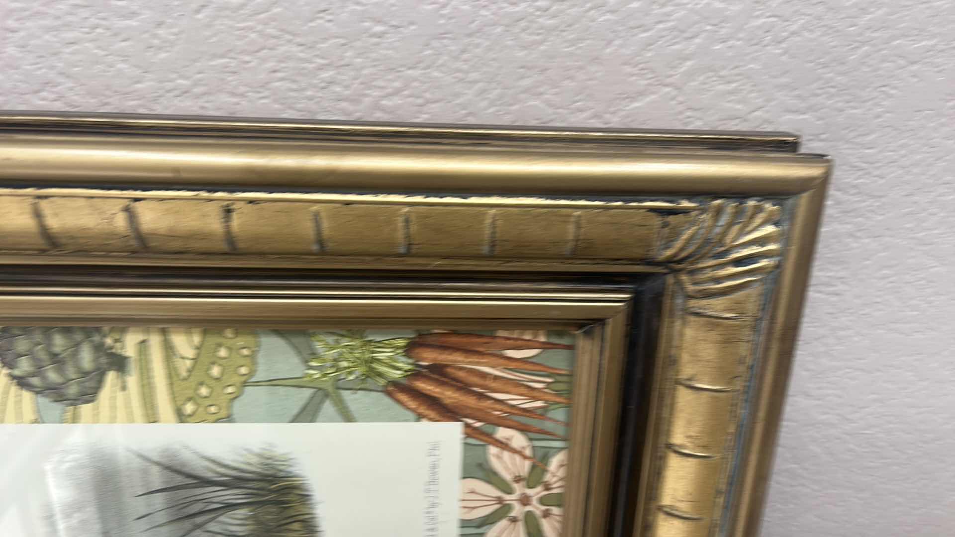 Photo 1 of GOLD FRAMED “SWAMP HARE” PRINTED LITHOGRAPH 25” x H21”