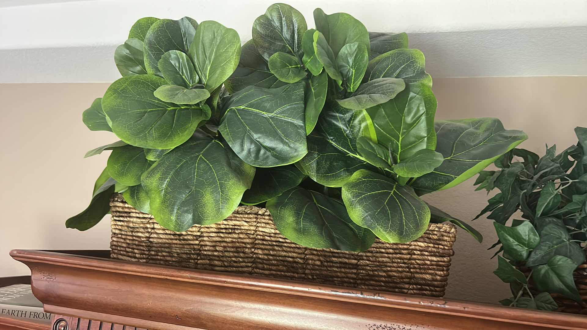 Photo 1 of 2 FAUX GREENERY ARRANGEMENTS (LARGEST 24” x 24”)