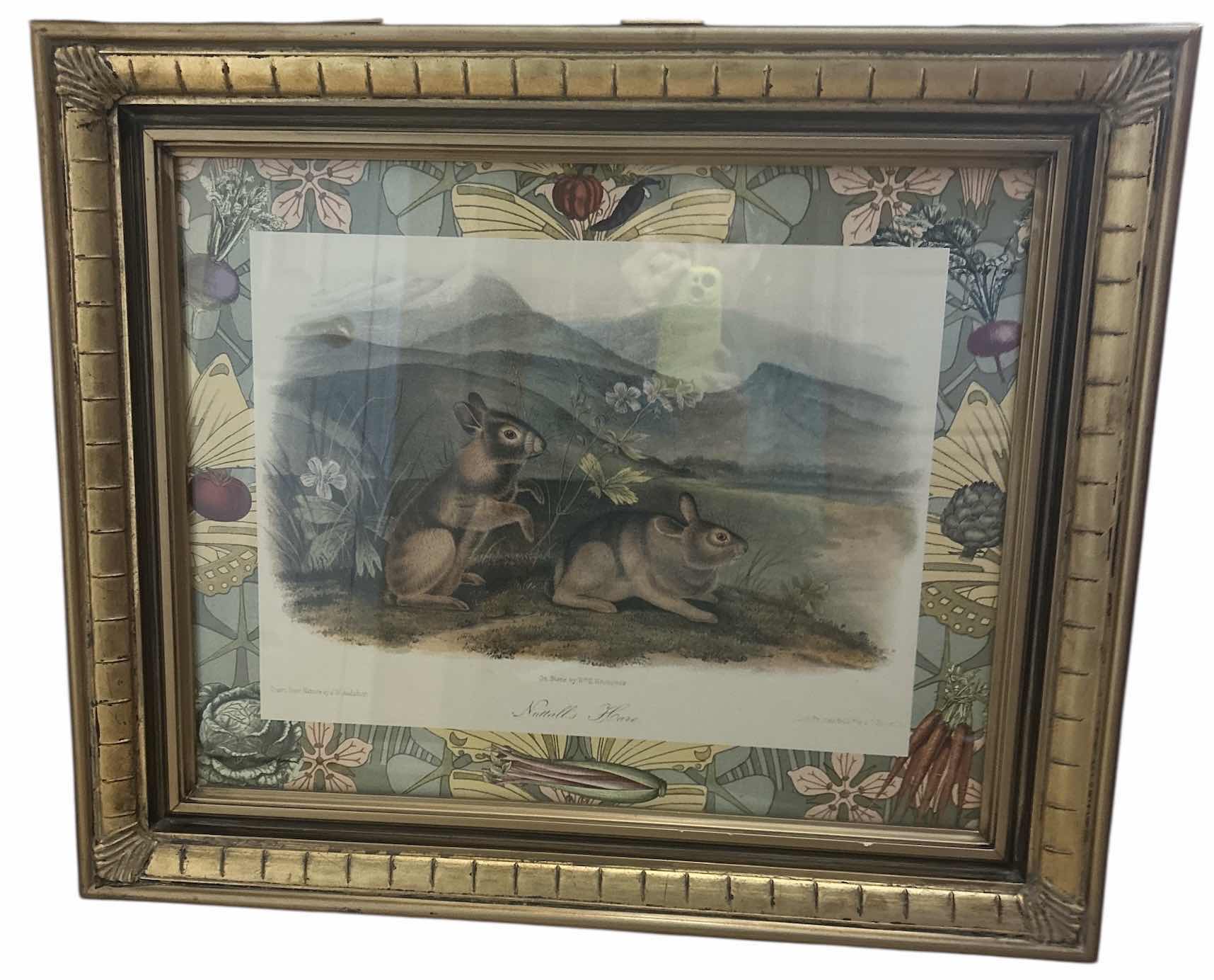 Photo 1 of FRAMED “NUTTAILS HARE” ARTWORK 25” x H21”