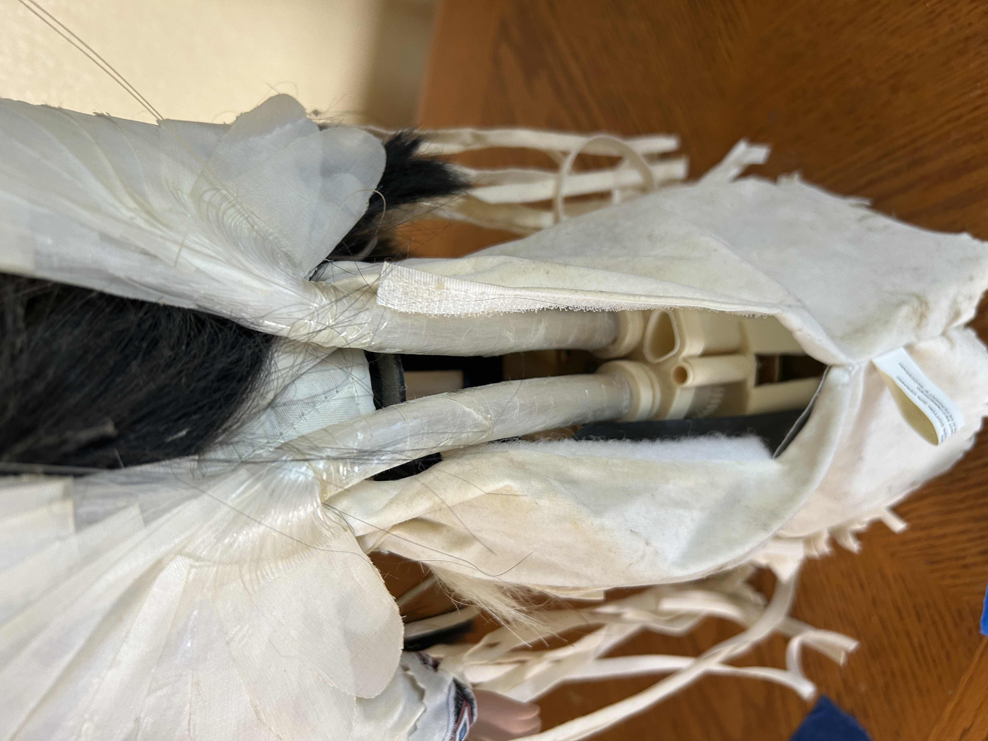 Photo 1 of BATTERY OPERATED HOLLOE BODY PORCELAIN NATIVE AMERICAN DOLL H15”