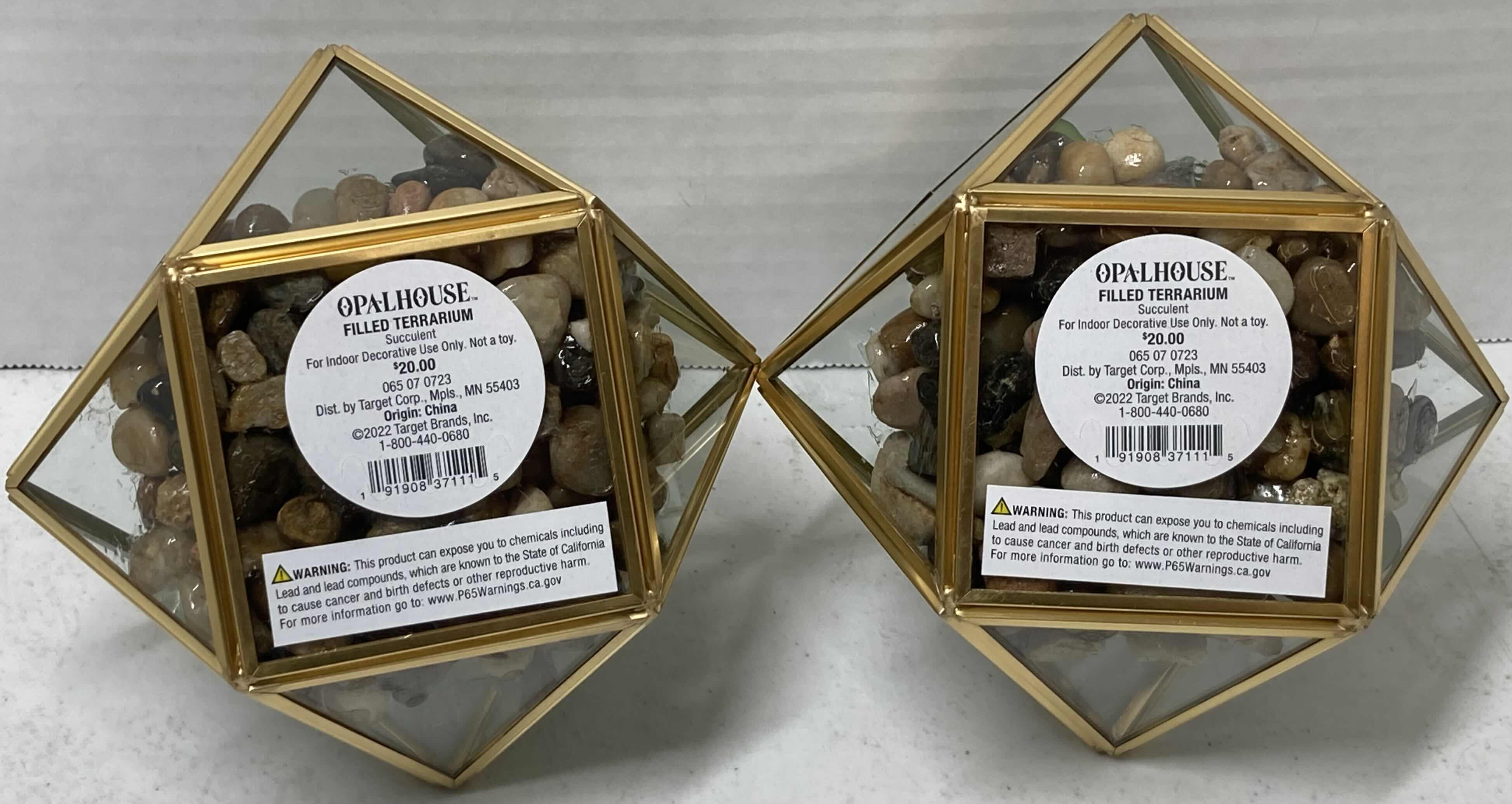 Photo 1 of NEW TARGET BRAND SUCCULENT PLANT W OPAL HOUSE TERRARIUM (SET OF 2) 4” X 7.5”