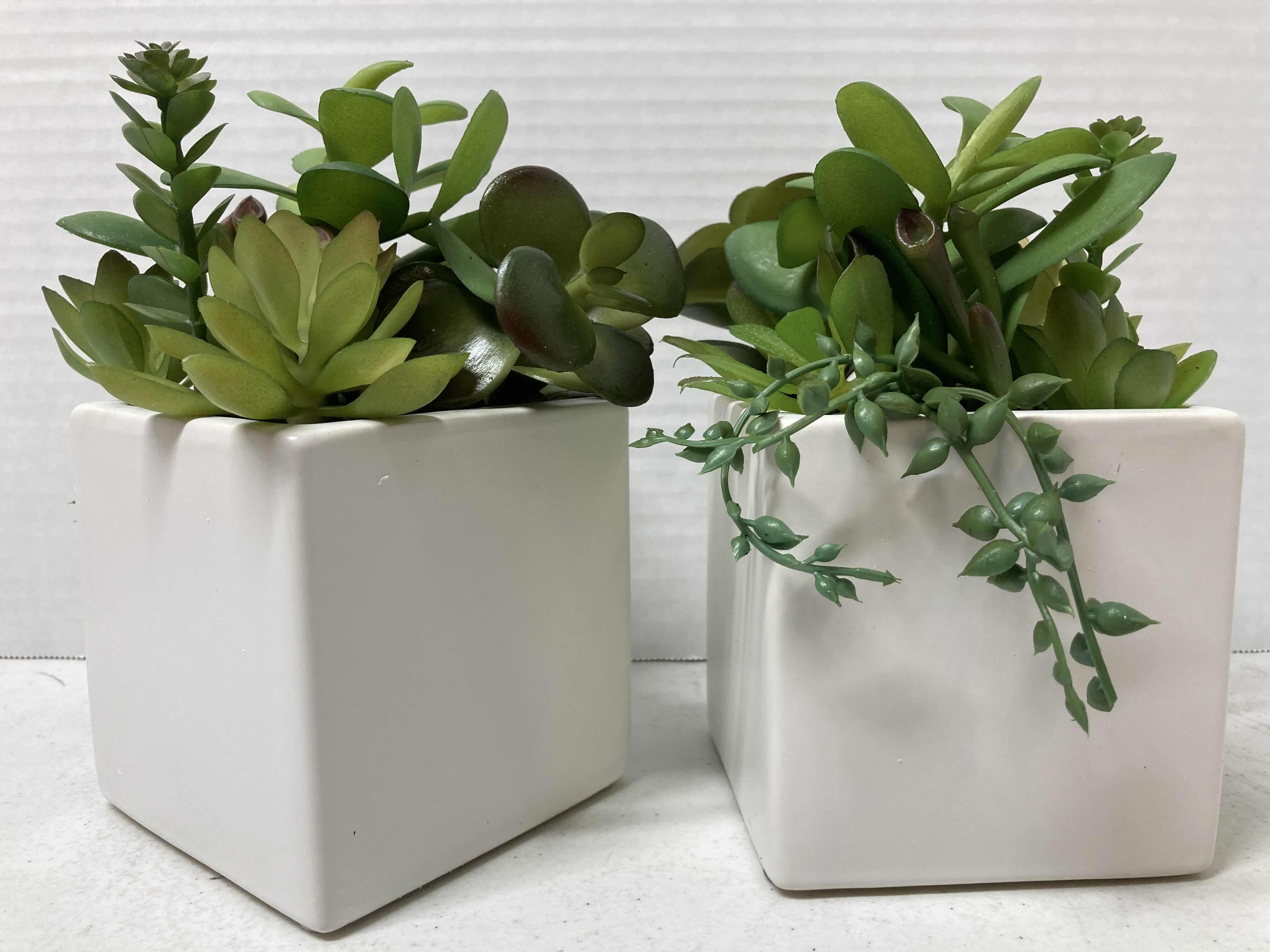 Photo 1 of NEW TARGET BRAND SUCCULENT PLANT W SQUARE CERAMIC POT (SET OF 2) 4” X 7.5”