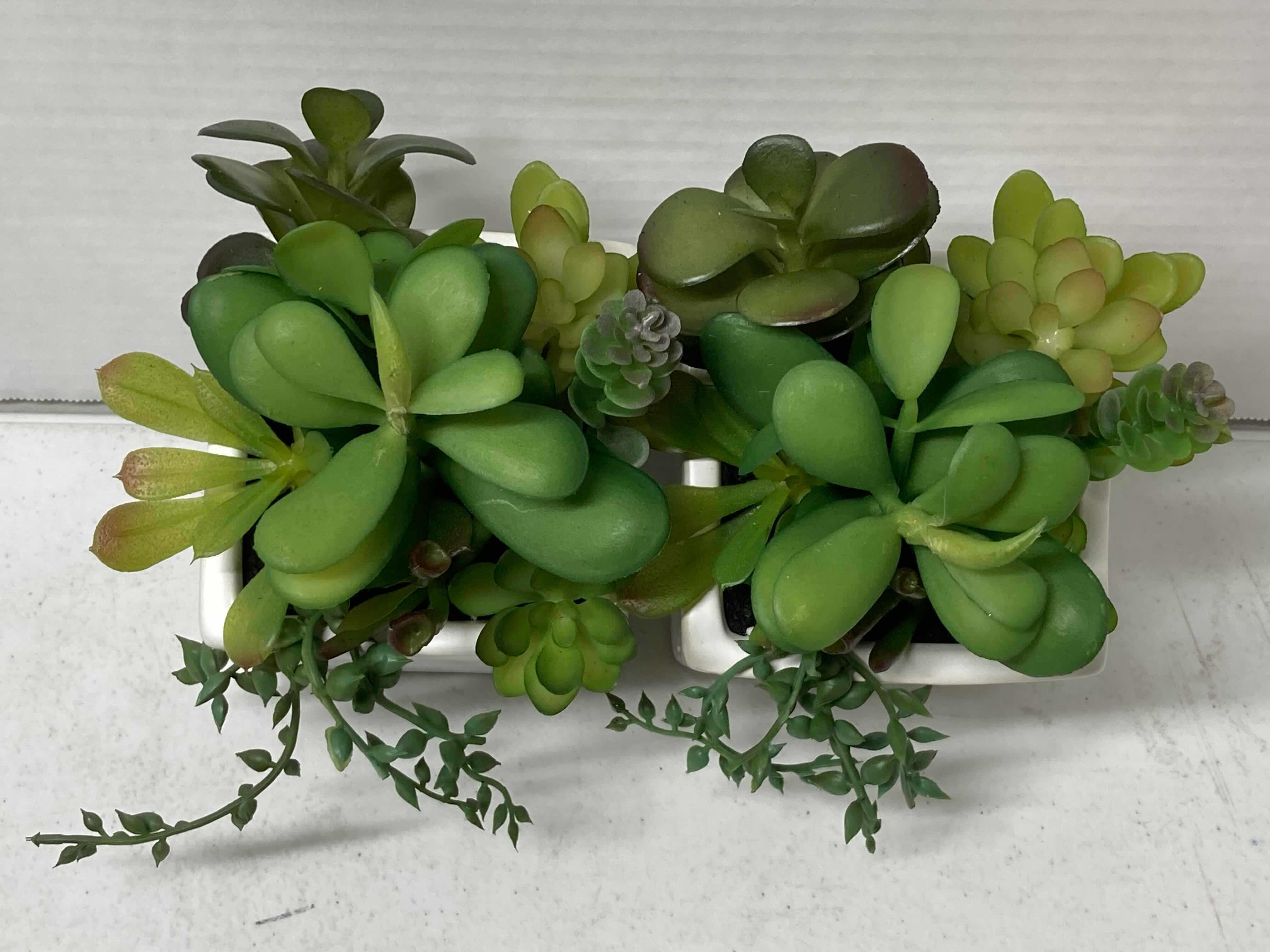Photo 1 of NEW TARGET BRAND SUCCULENT PLANT W SQUARE CERAMIC POT (SET OF 2) 4” X 7.5”