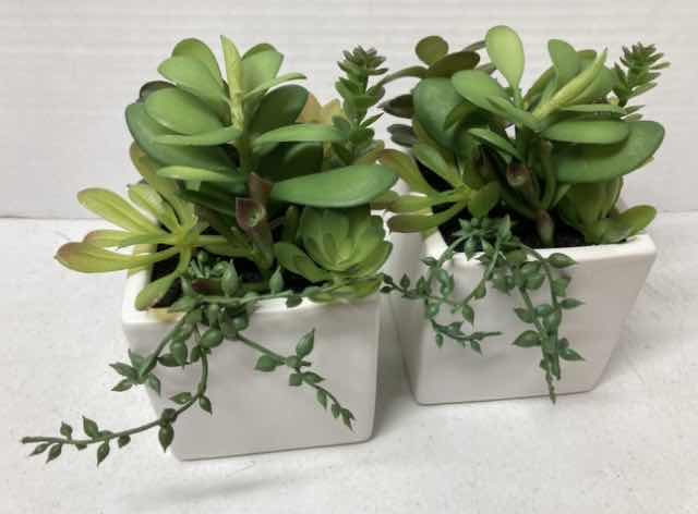 Photo 1 of NEW TARGET BRAND ARTIFICIAL SUCCULENT PLANT W SQUARE CERAMIC POT (SET OF 2) 4" X 7.5"