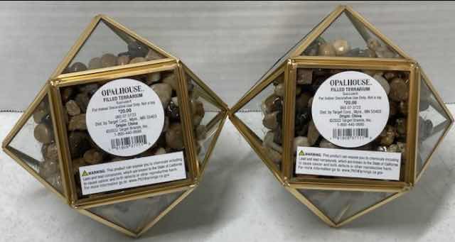Photo 1 of NEW TARGET BRAND ARTIFICIAL SUCCULENT PLANT W OPAL HOUSE TERRARIUM (SET OF 2) 4" X 7.5"