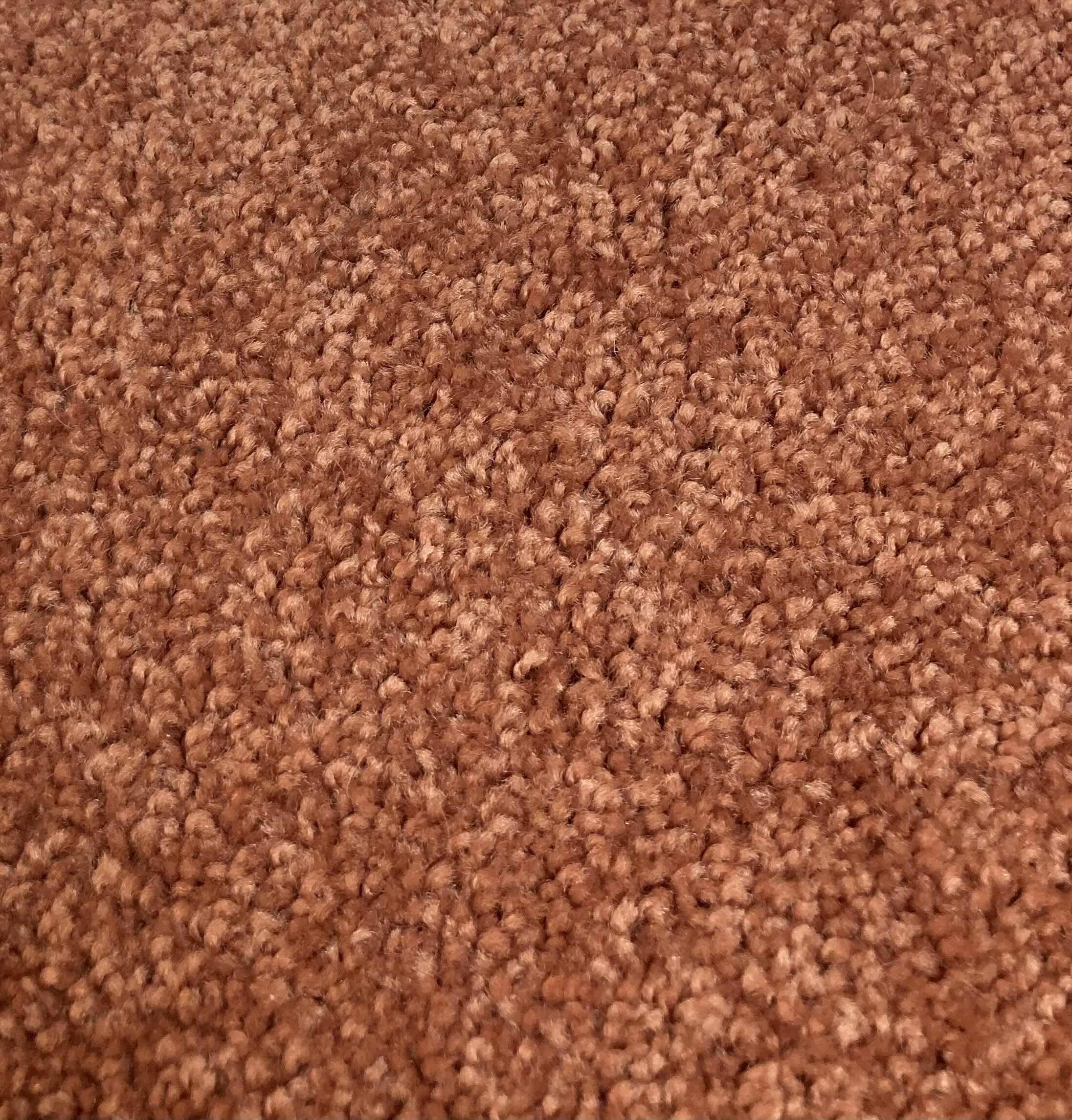 Photo 1 of FURNISH MY PLACE RUST AREA RUG 24” X 48”