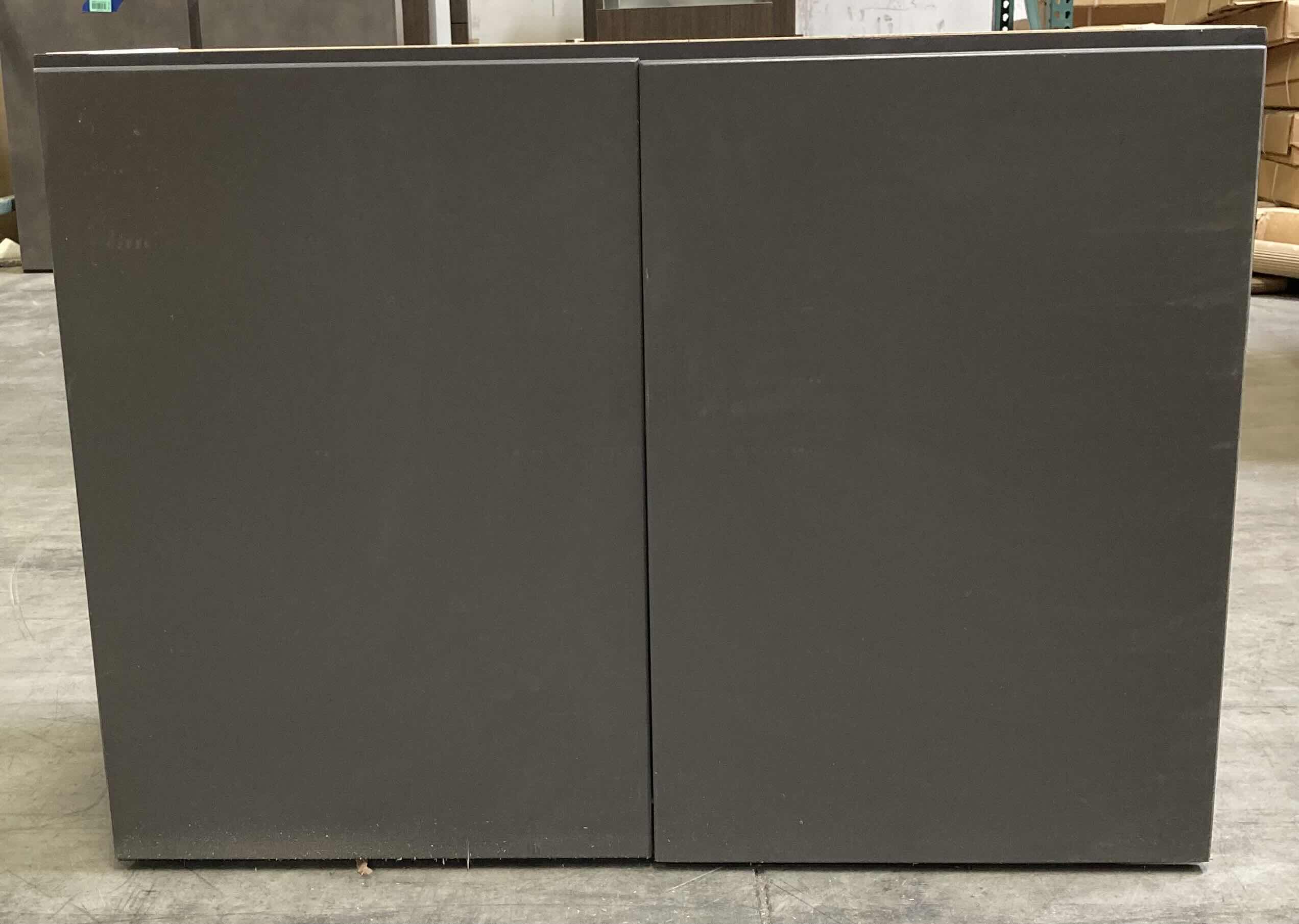 Photo 1 of LEEDO MIDWAY WHITE GRAPHITE 2 DOOR 1 SHELF WALL CABINET 33” X 12” H24”