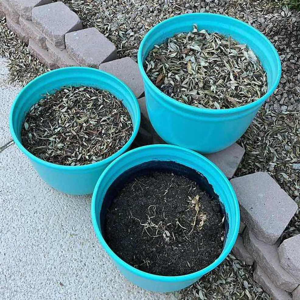 Photo 1 of OUTDOOR PAINTED TEAL PLASTIC PLANTERS (3) 22” X 16.5”