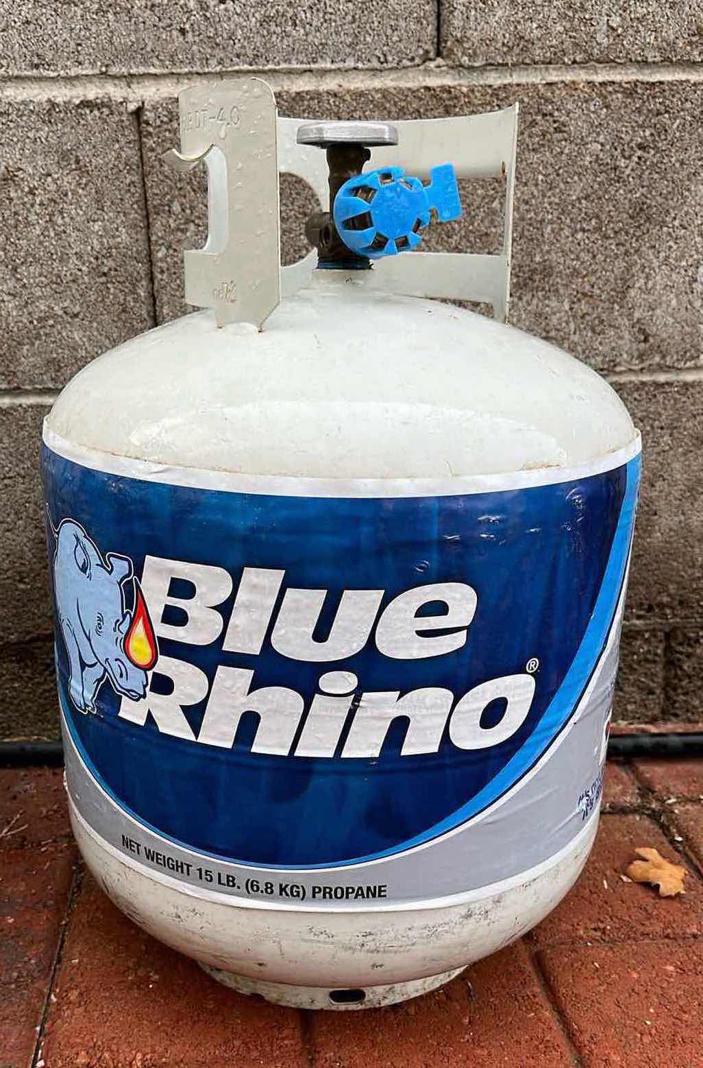 Photo 1 of BLUE RHINO 15LB PROPANE TANKS (2)