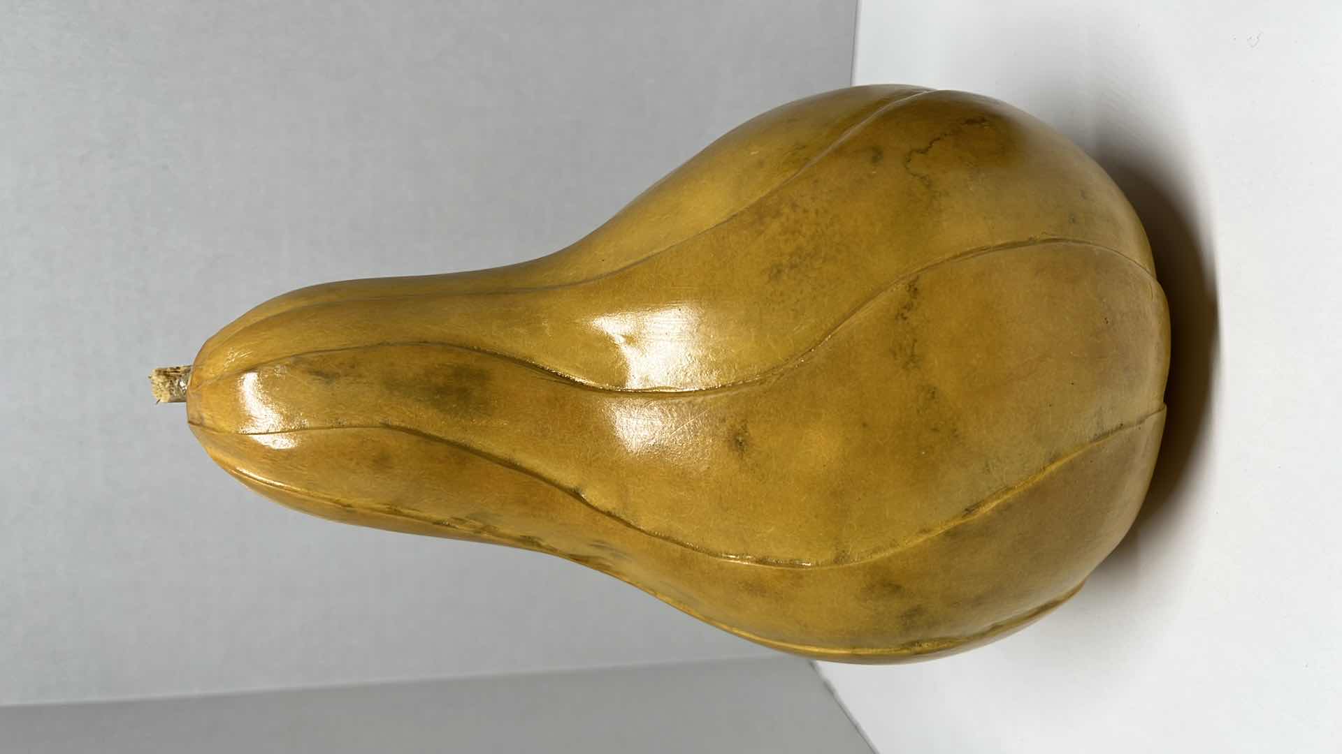 Photo 1 of HANDCRAFTED & PAINTED GOURD ART 5” X 9” W HANDCRAFTED & PAINTED GOURD SAKE BOTTLE 3.5” X 6.5”