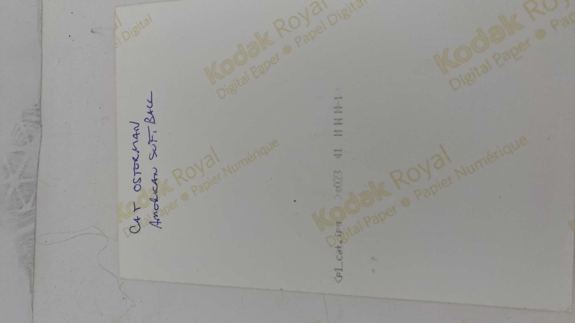 Photo 1 of SPORTS CELEBRITIES SIGNED PHOTOS 4” X 6”