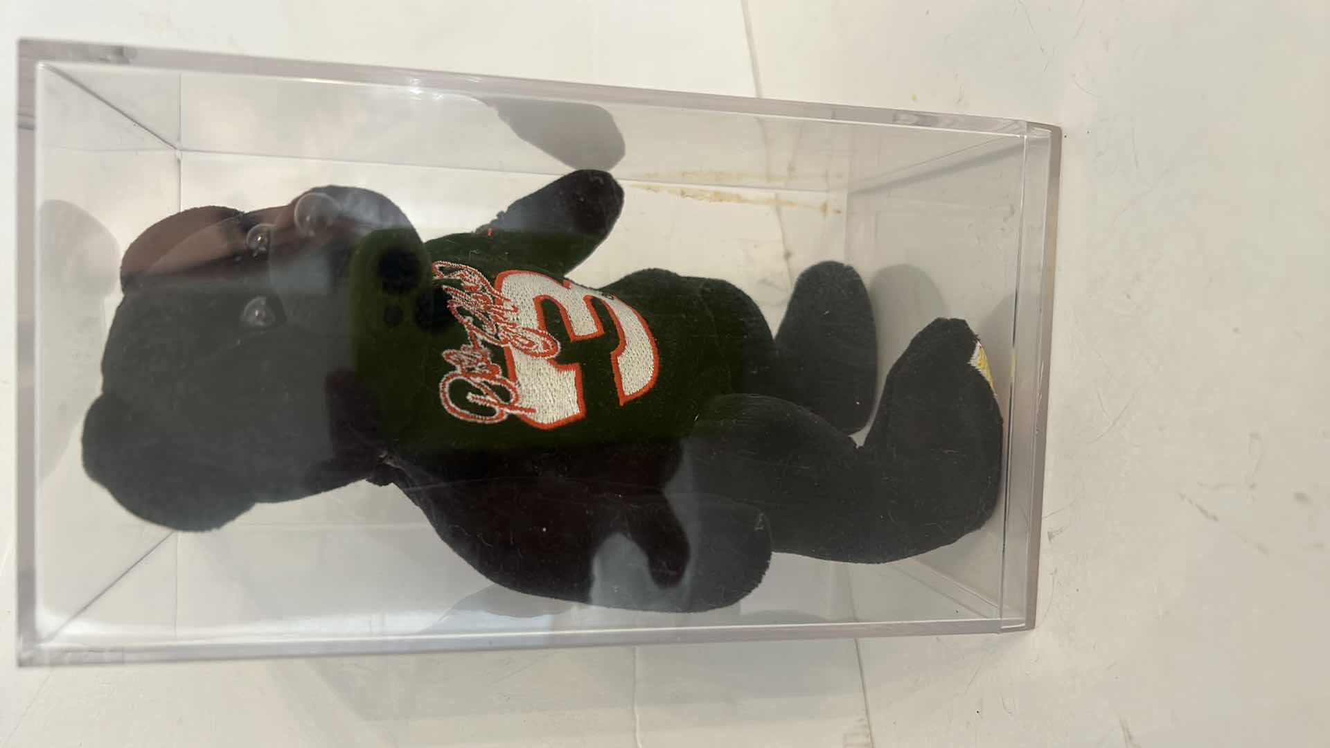 Photo 1 of DALE EARNHARDT COLLECTIBLE BEAR IN CASE