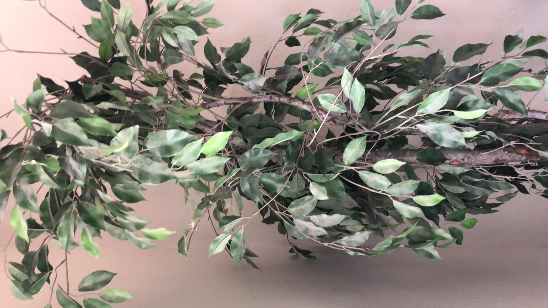 Photo 1 of FAUX FICUS TREE IN CERAMIC VASE W IRON STAND H84”