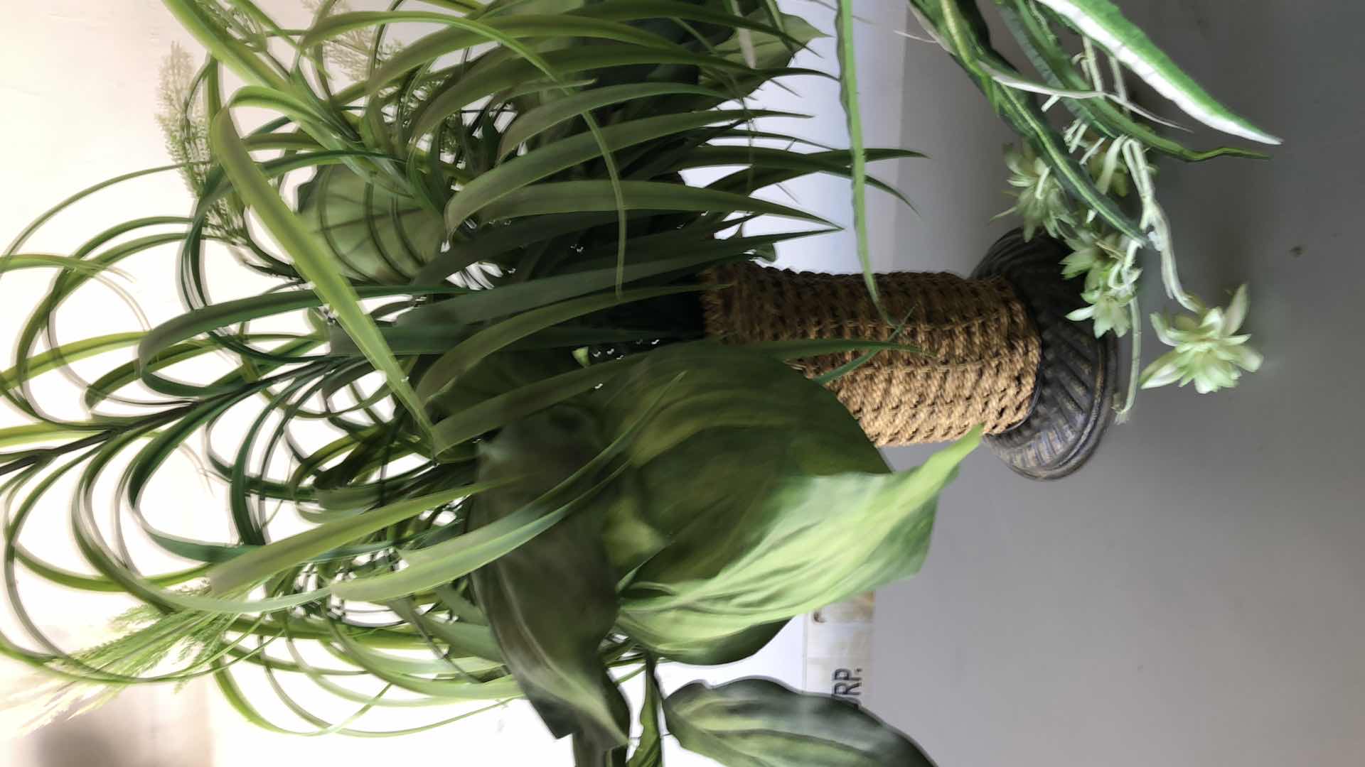 Photo 1 of FAUX HOUSE PLANTS