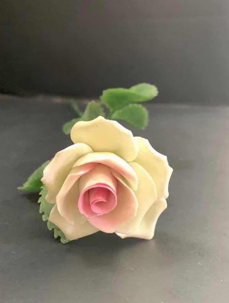 Photo 1 of PLASTIC SUCCULENT PLANTS AND PORCELAIN ROSE