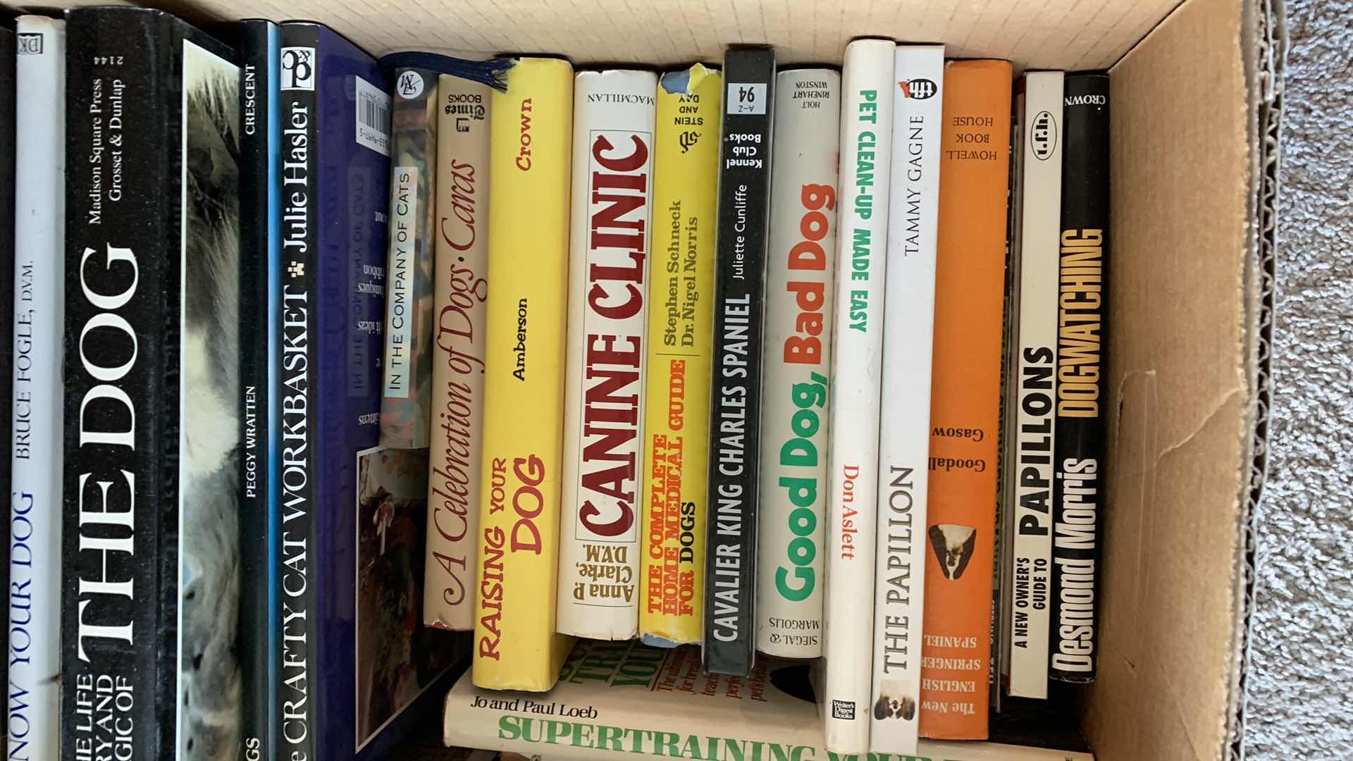 Photo 1 of CAT AND DOG BOOKS