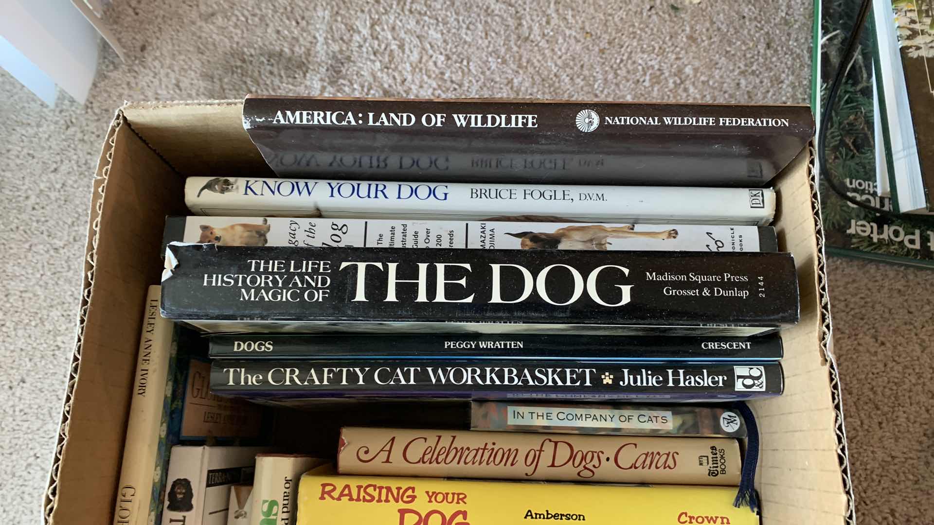 Photo 1 of CAT AND DOG BOOKS