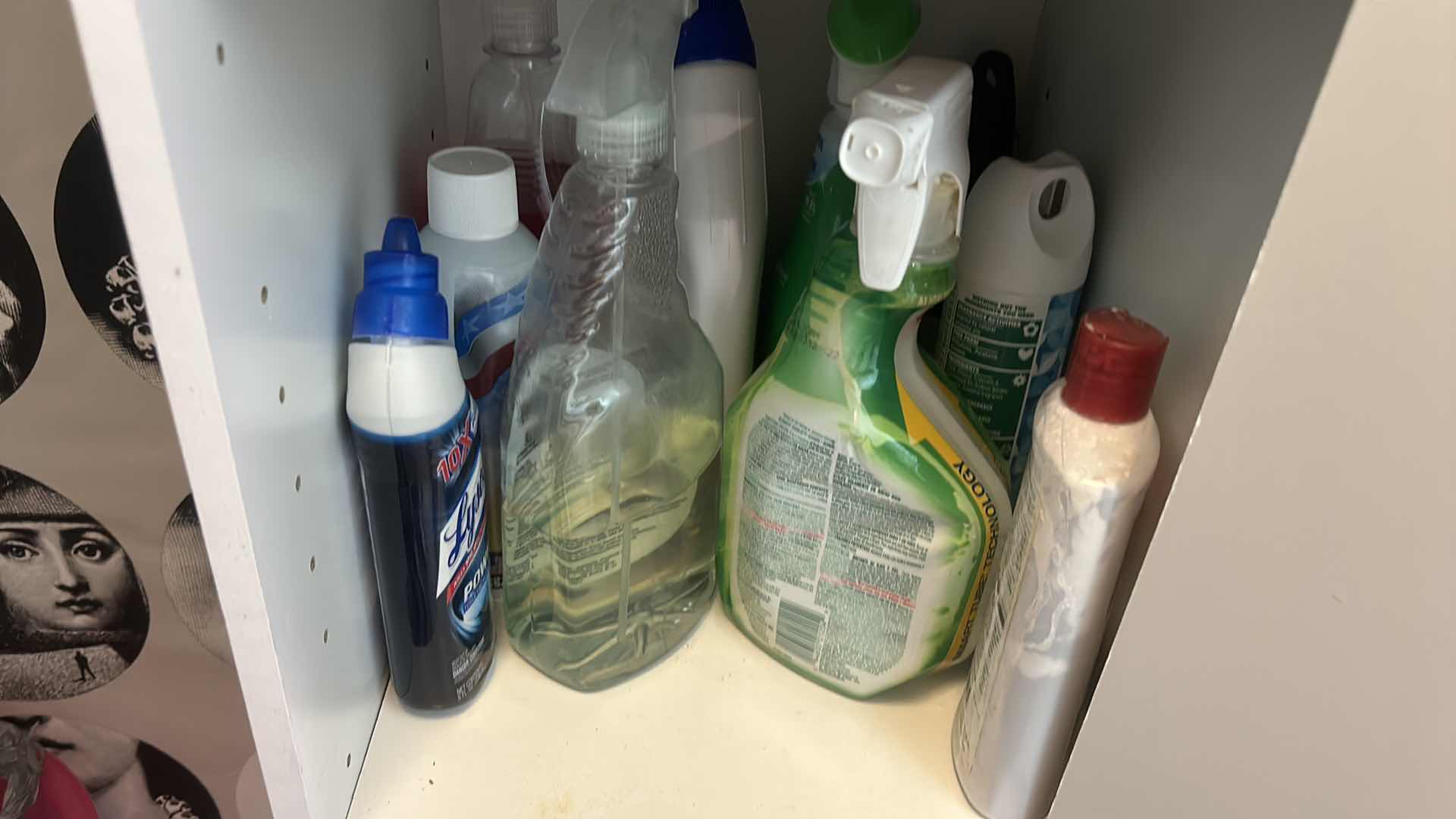Photo 1 of CONTENTS OF CABINET- CLEANING SUPPLIES