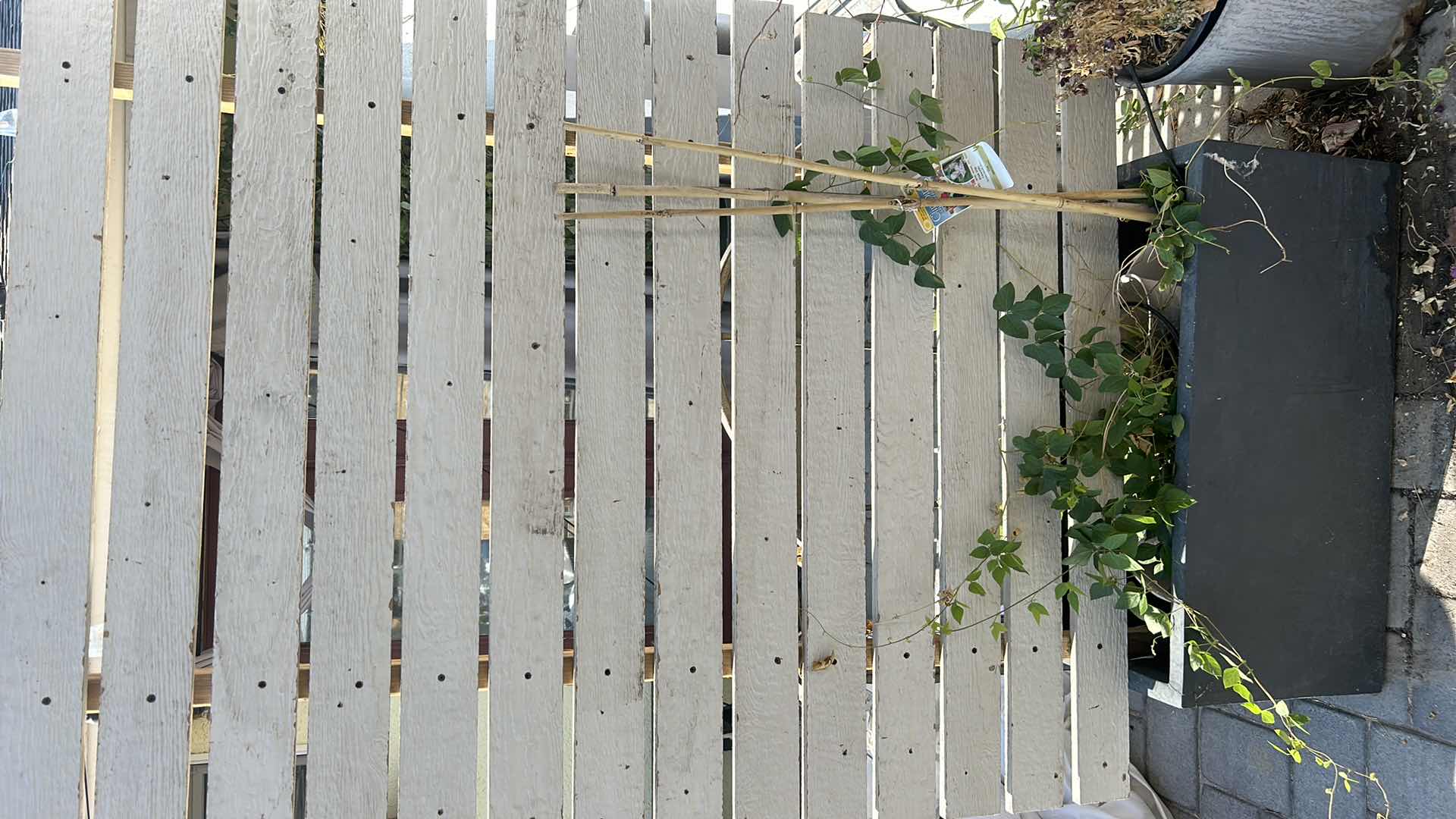Photo 1 of UNIQUE, CUSTOM PRIVACY SCREEN PLANTER AND POTTED PLANT PRIVACY SCREEN MEASURES 44 1/2" X H. 76".
