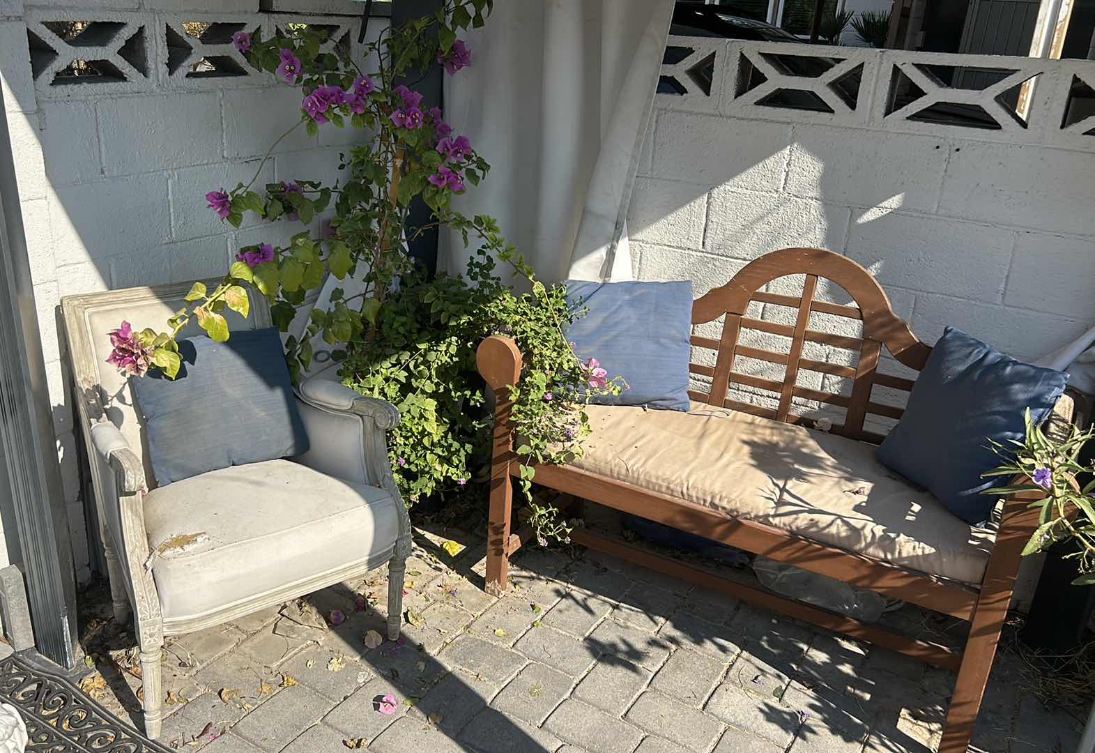 Photo 1 of THREE-PIECE RUSTIC OUTDOOR DÉCOR WEATHERED AND UNIQUE ONE CHAIR, ONE BENCH, AND ONE POTTED BOUGAINVILLEA PLANT. BENCH MEASURES 54" X 25" X 39".