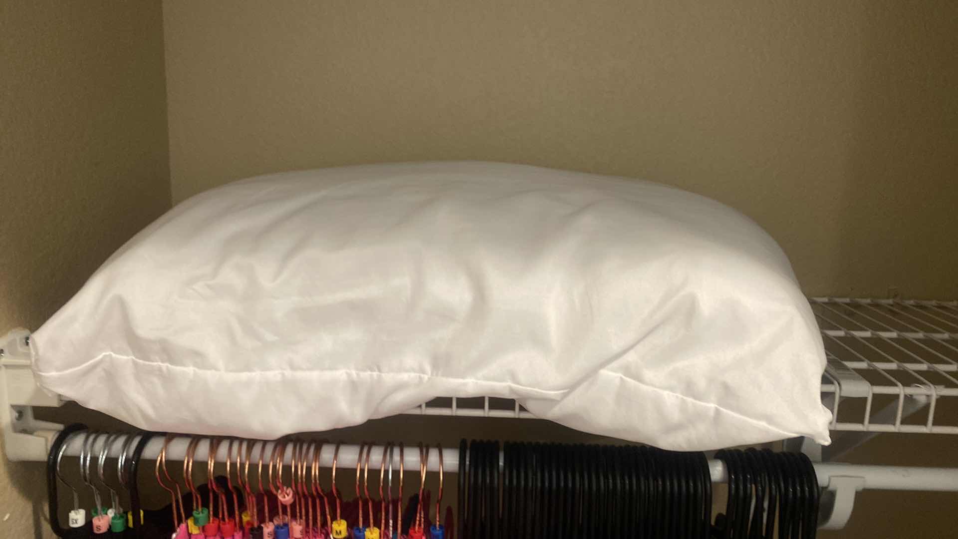 Photo 1 of HANGERS & PILLOW