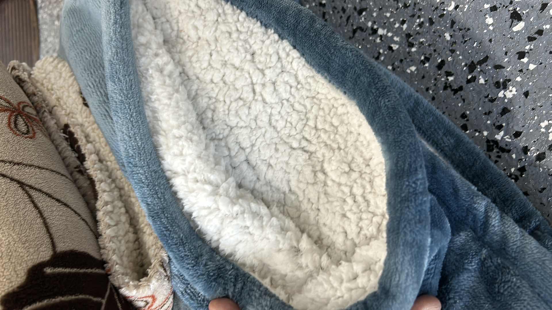 Photo 1 of DOGGY SUPPLIES- BLANKETS, HARNESS