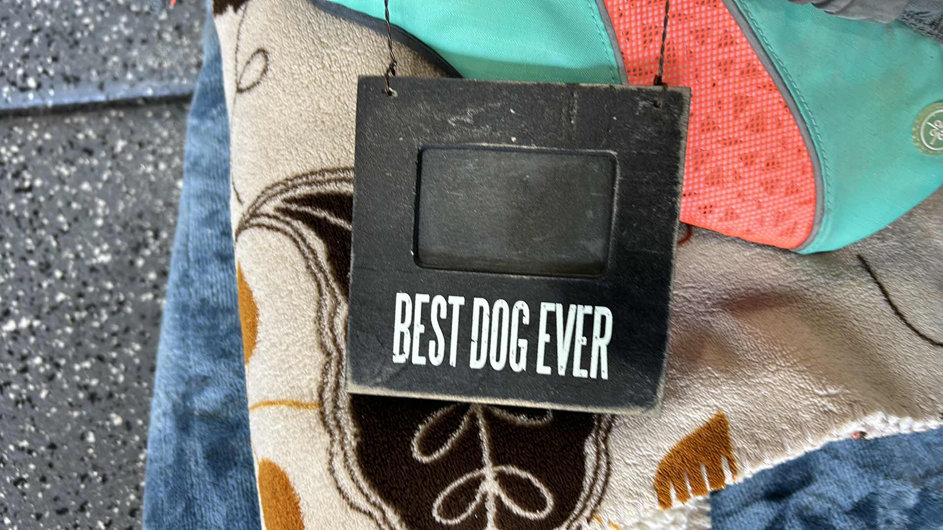 Photo 1 of DOGGY SUPPLIES- BLANKETS, HARNESS