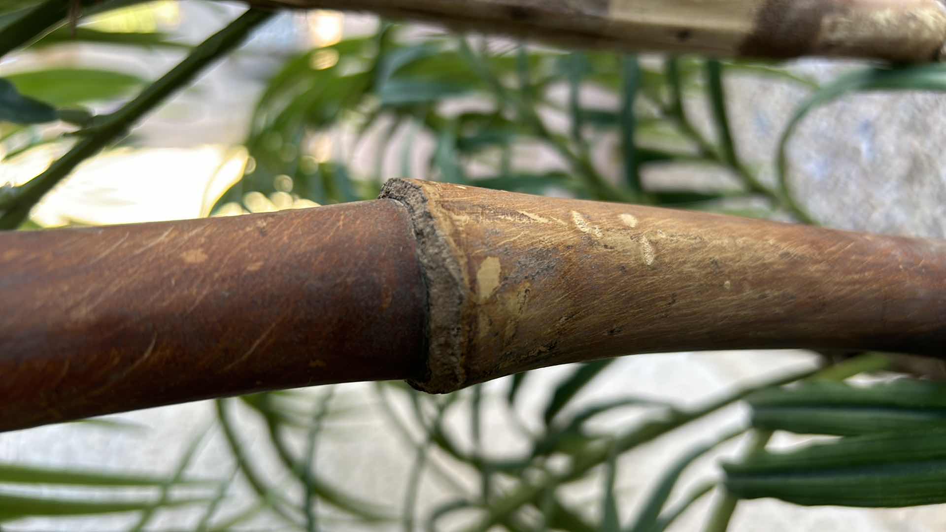 Photo 1 of HOME DECOR - REALISTIC WOOD SIX-FOOT FAUX PALM TREE IN HEAVY CERAMIC POT.