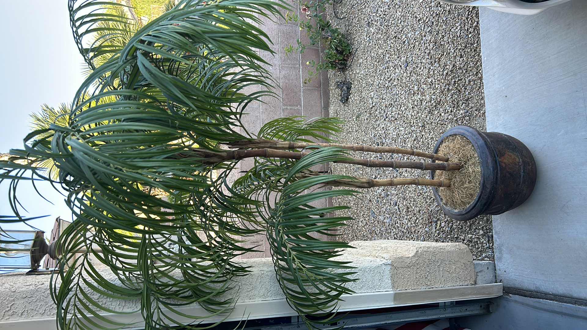 Photo 1 of HOME DECOR - REALISTIC WOOD SIX-FOOT FAUX PALM TREE IN HEAVY CERAMIC POT.