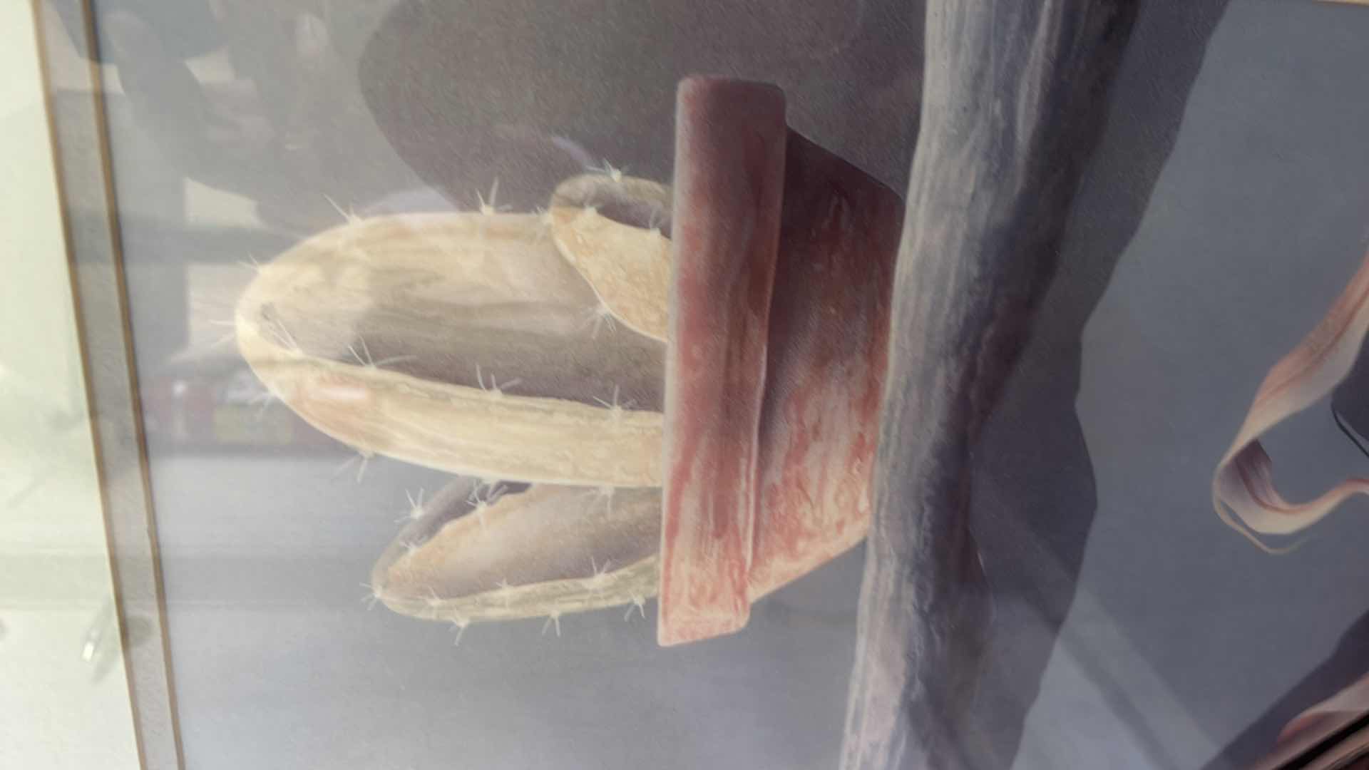 Photo 1 of WOOD-FRAMED “CORN AND CACTUS “ ARTWORK, 24” X 29.5”.