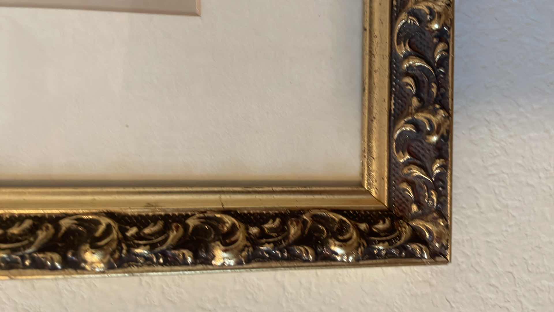 Photo 1 of DANDELION PHOTO SIGNED AND NUMBERED 13/30 SAL PITERA FRAMED ART 21”xH17”