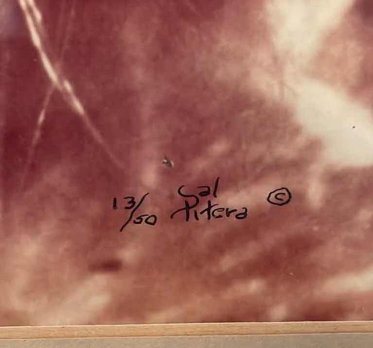 Photo 2 of DANDELION PHOTO SIGNED AND NUMBERED 13/30 SAL PITERA FRAMED ART 21”xH17”