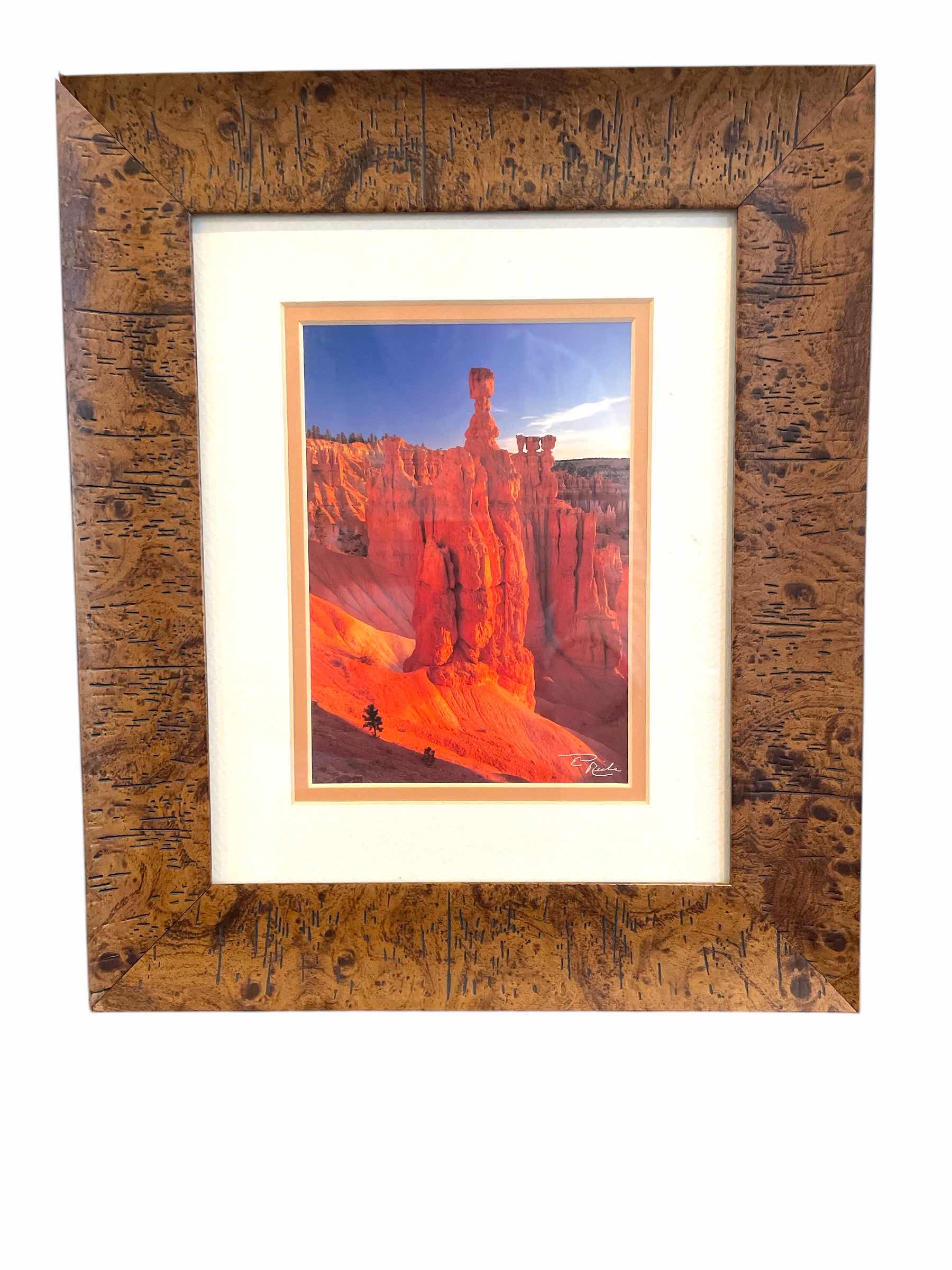 Photo 1 of ED RICHE FRAMED PRINT 11”x13”