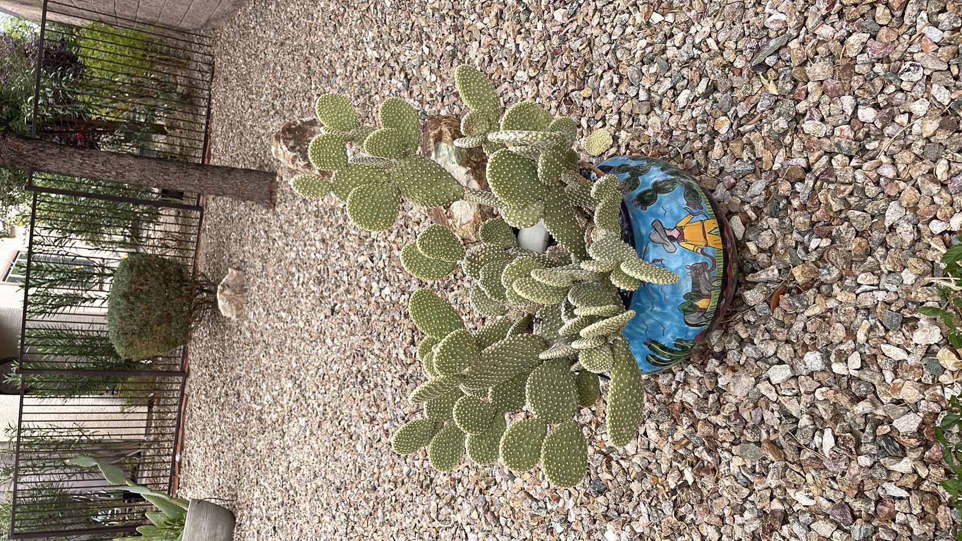 Photo 1 of HAND PAINTED POTTERY PLANTER 16”xH16”